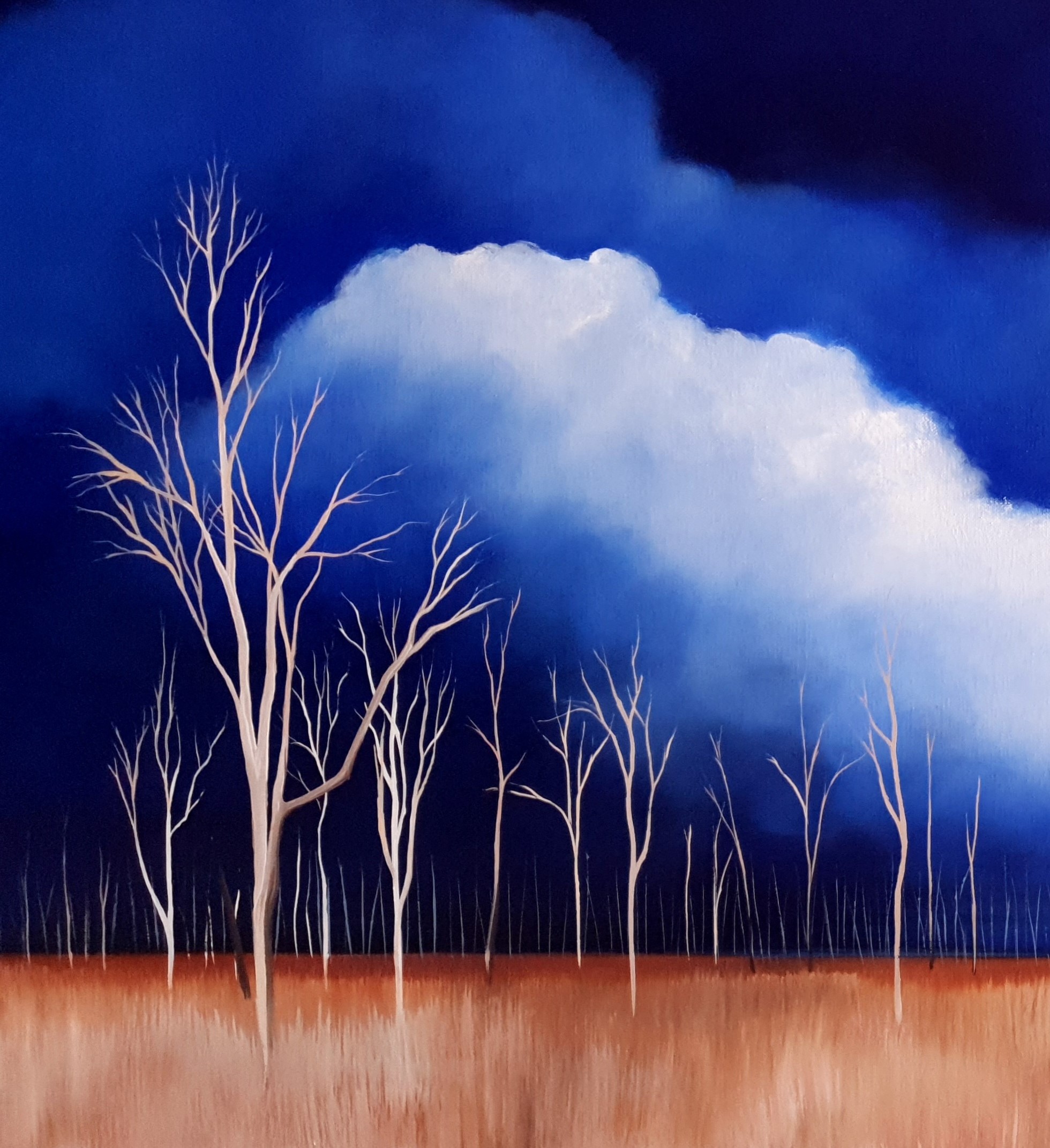 Winton Wetlands, Victoria Lucinda Leveille 2