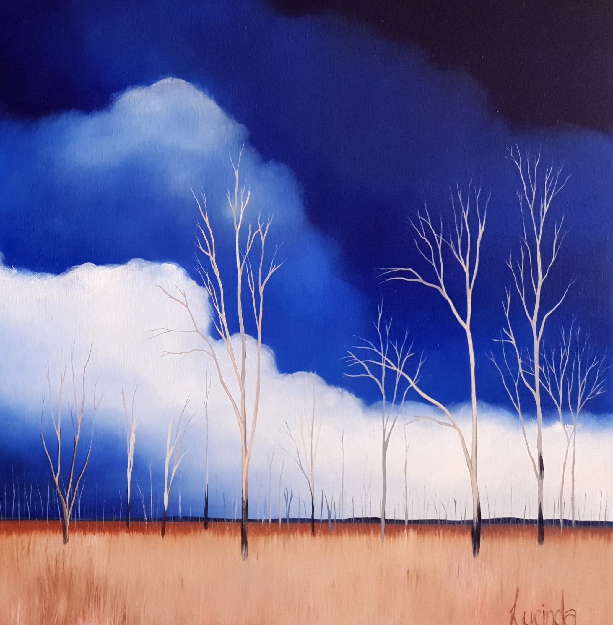 Winton Wetlands, Victoria Lucinda Leveille 3