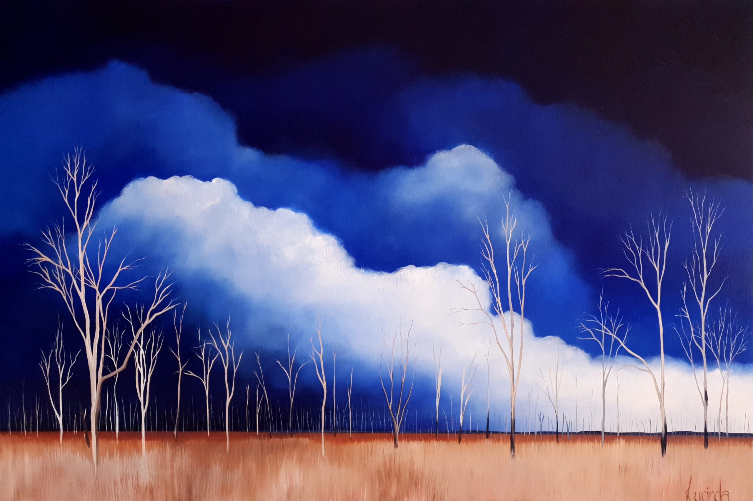 Winton Wetlands, Victoria Lucinda Leveille