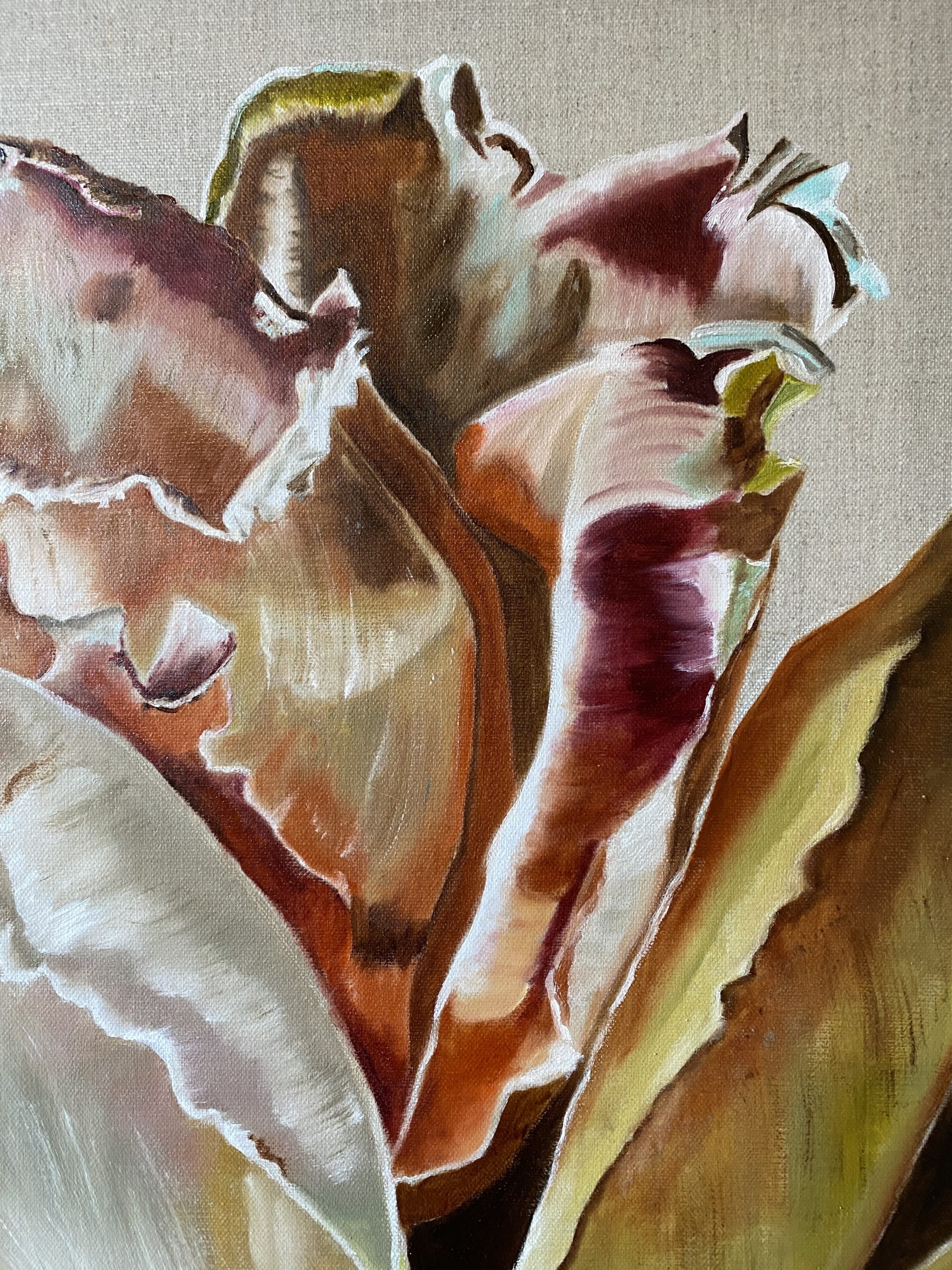 Dupion Rose Closeup2 Wendy Peters