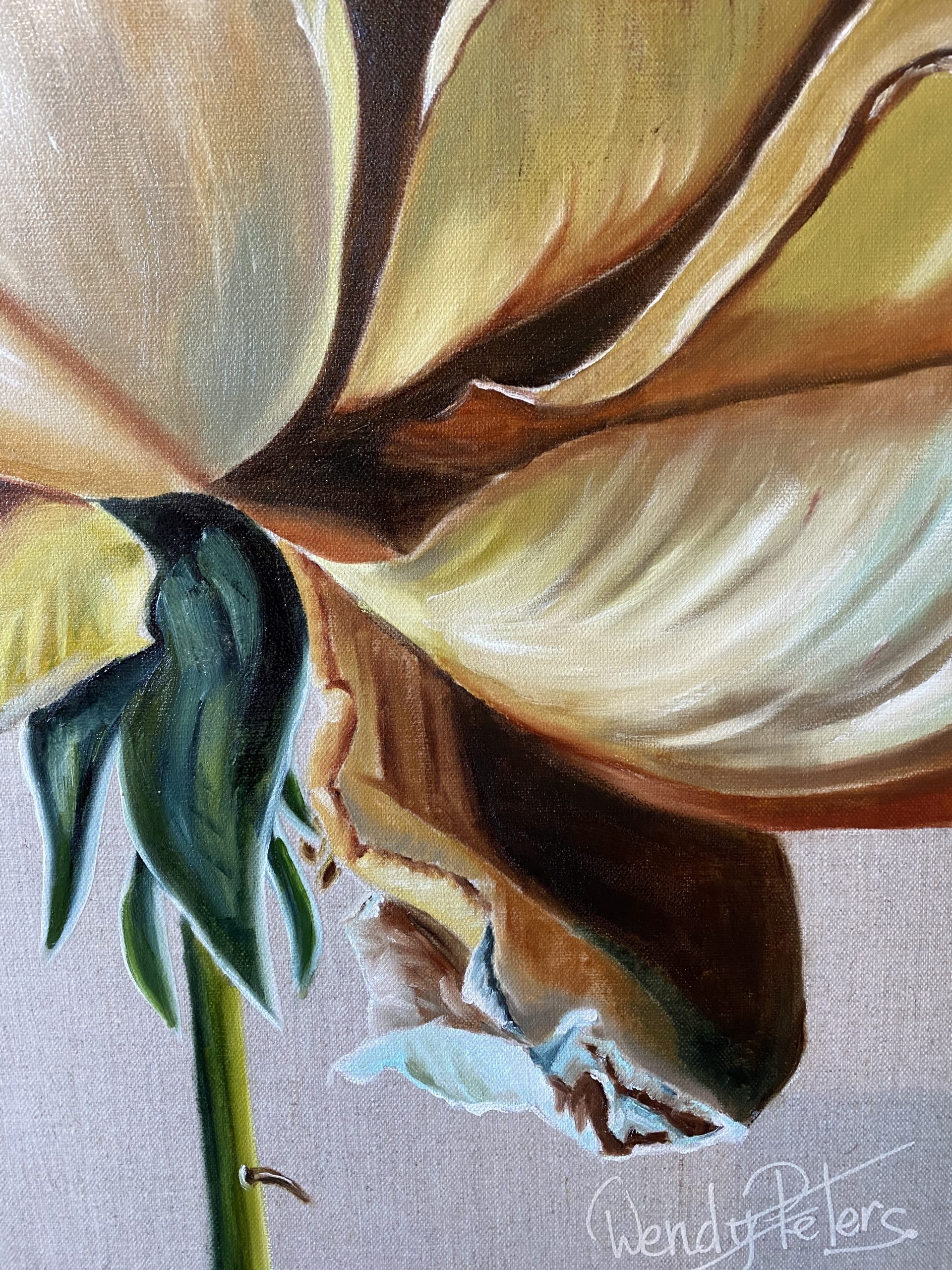 Dupion Rose Closeup1 Wendy Peters