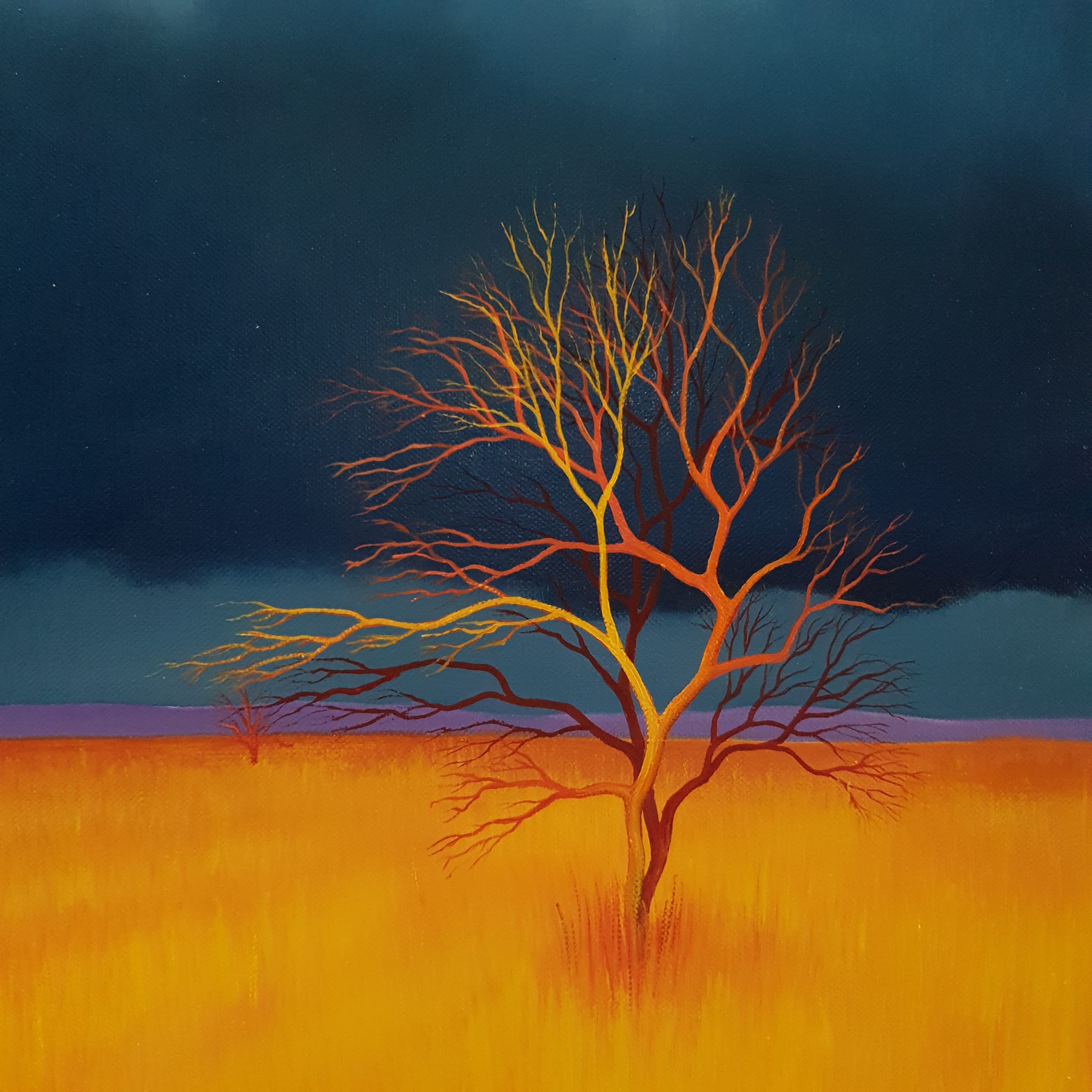 Bursts Of Gold Lucinda Leveille 1