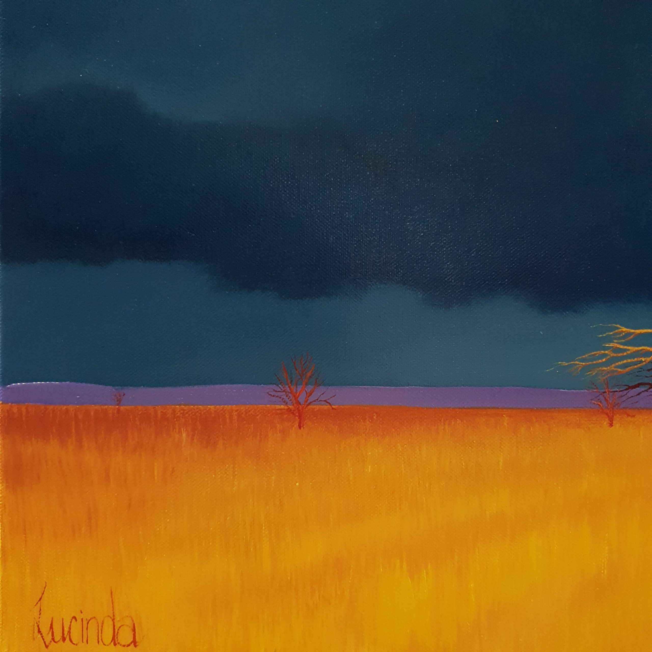 Bursts Of Gold Lucinda Leveille 2