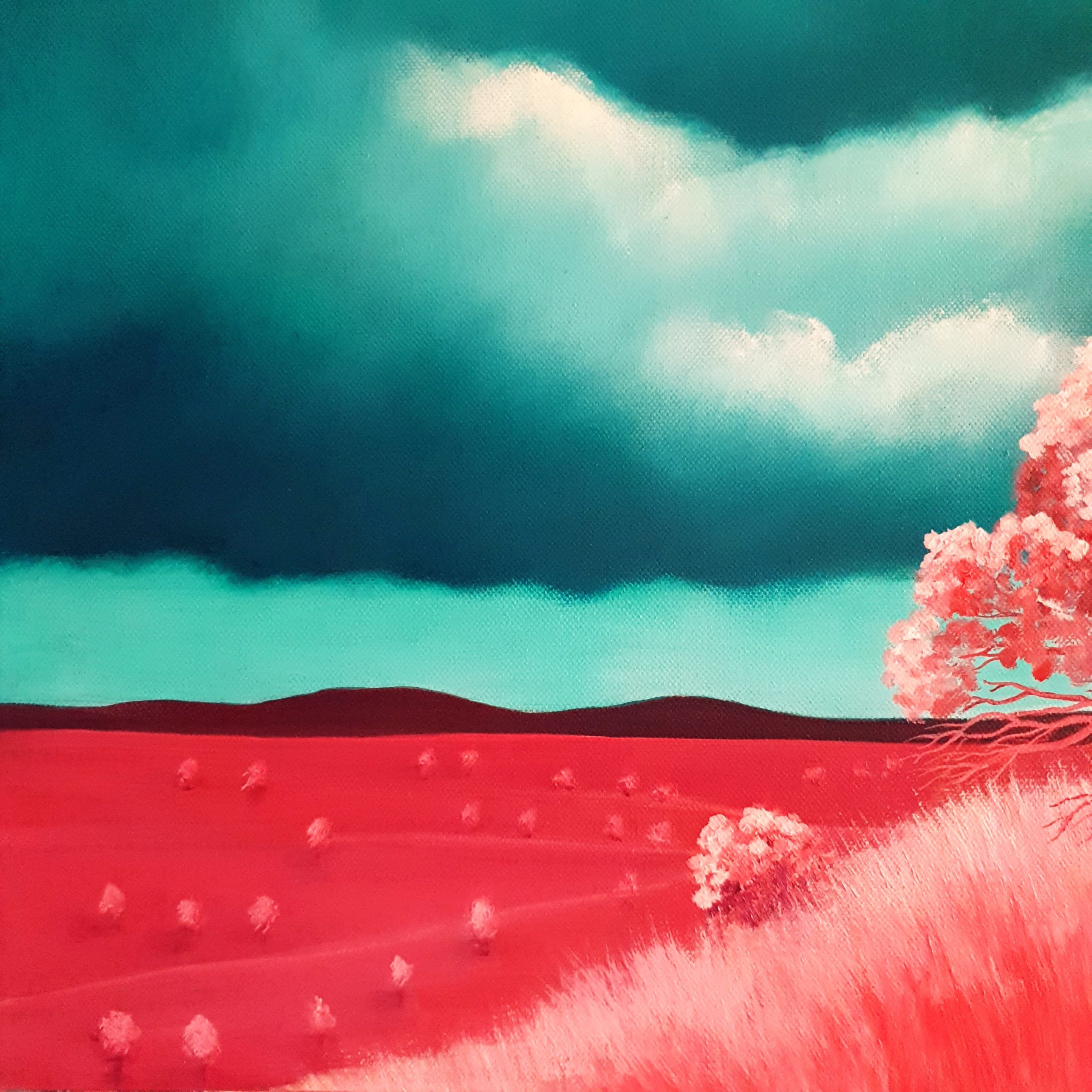 Dusty Pink Vistas Lucinda Leveille 1