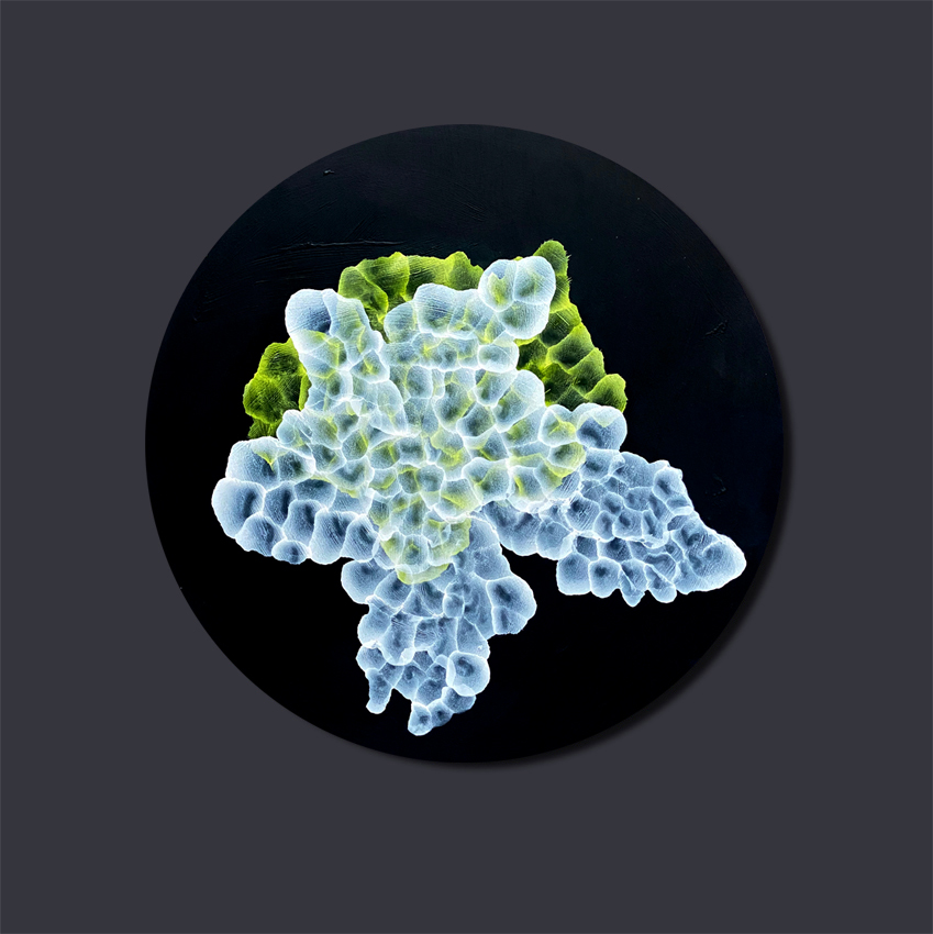 Blue Steel Back Ground For Paintings