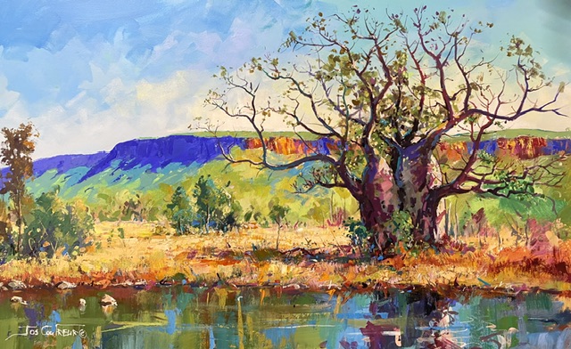 Boab Tree on Gibb River Road