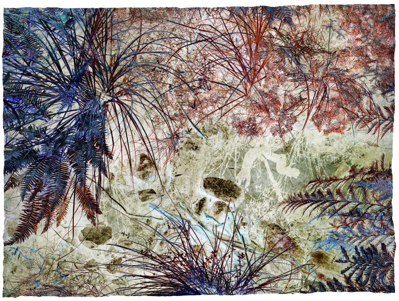 Perception – Ltd Ed Photography