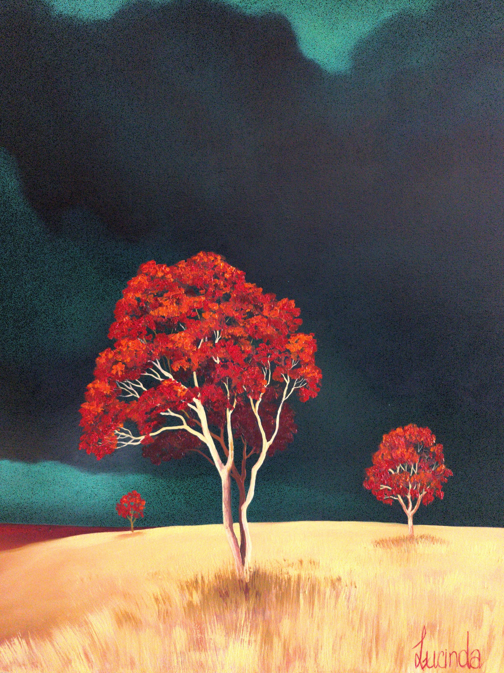 Light Within The Storm Lucinda Leveille 1