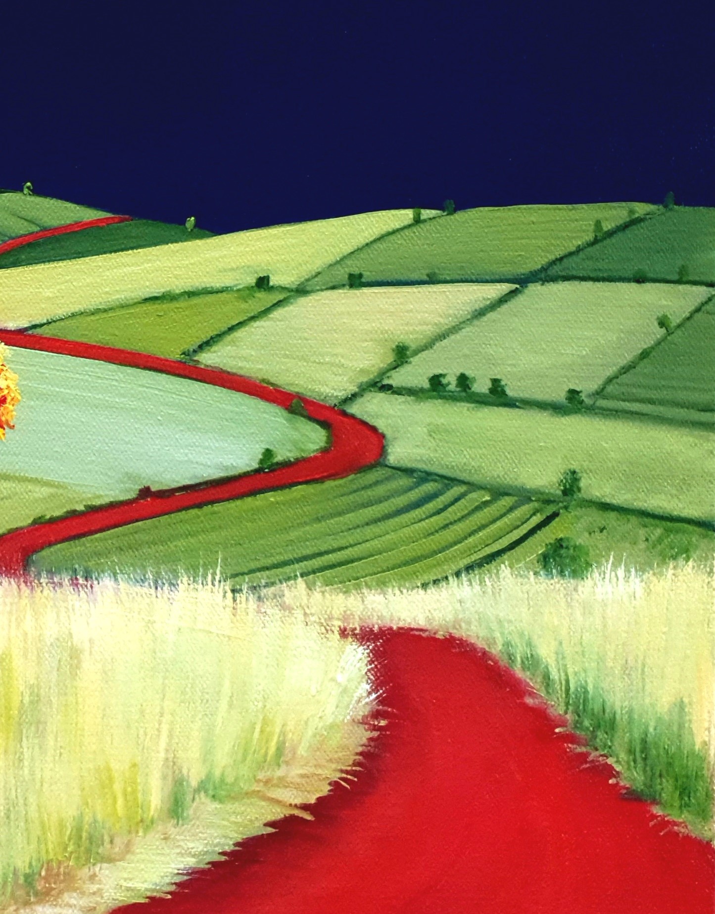 Checkerboard Fields Lucinda Leveille Art 2