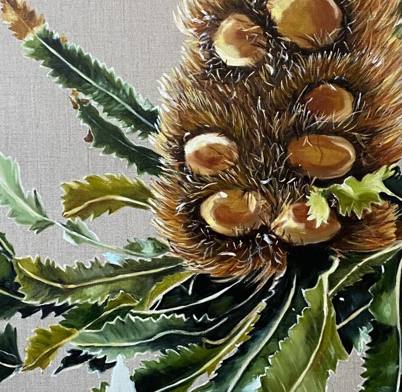 Banksia Serrata – Framed