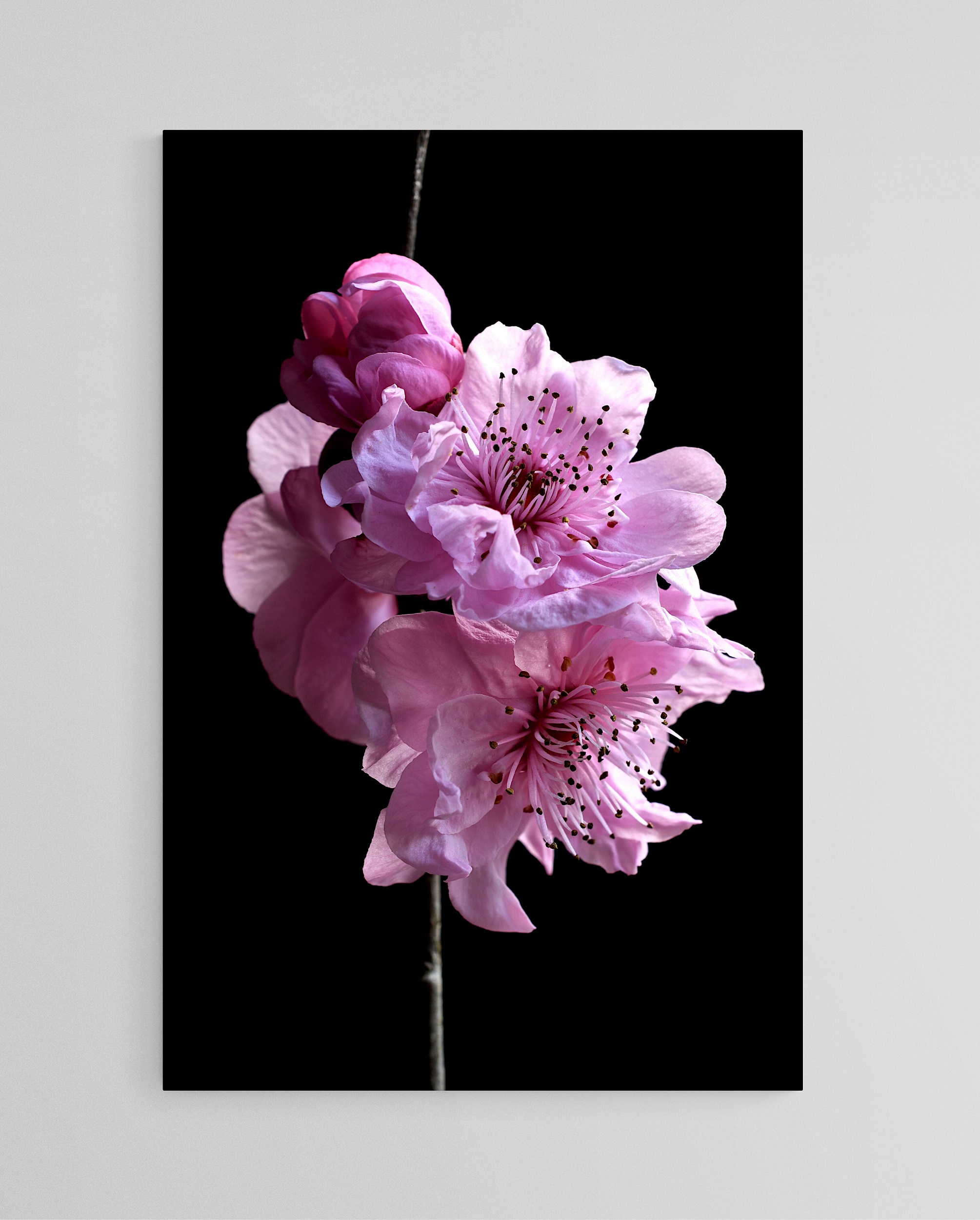 Empty Room 2024 08 05t164109.260