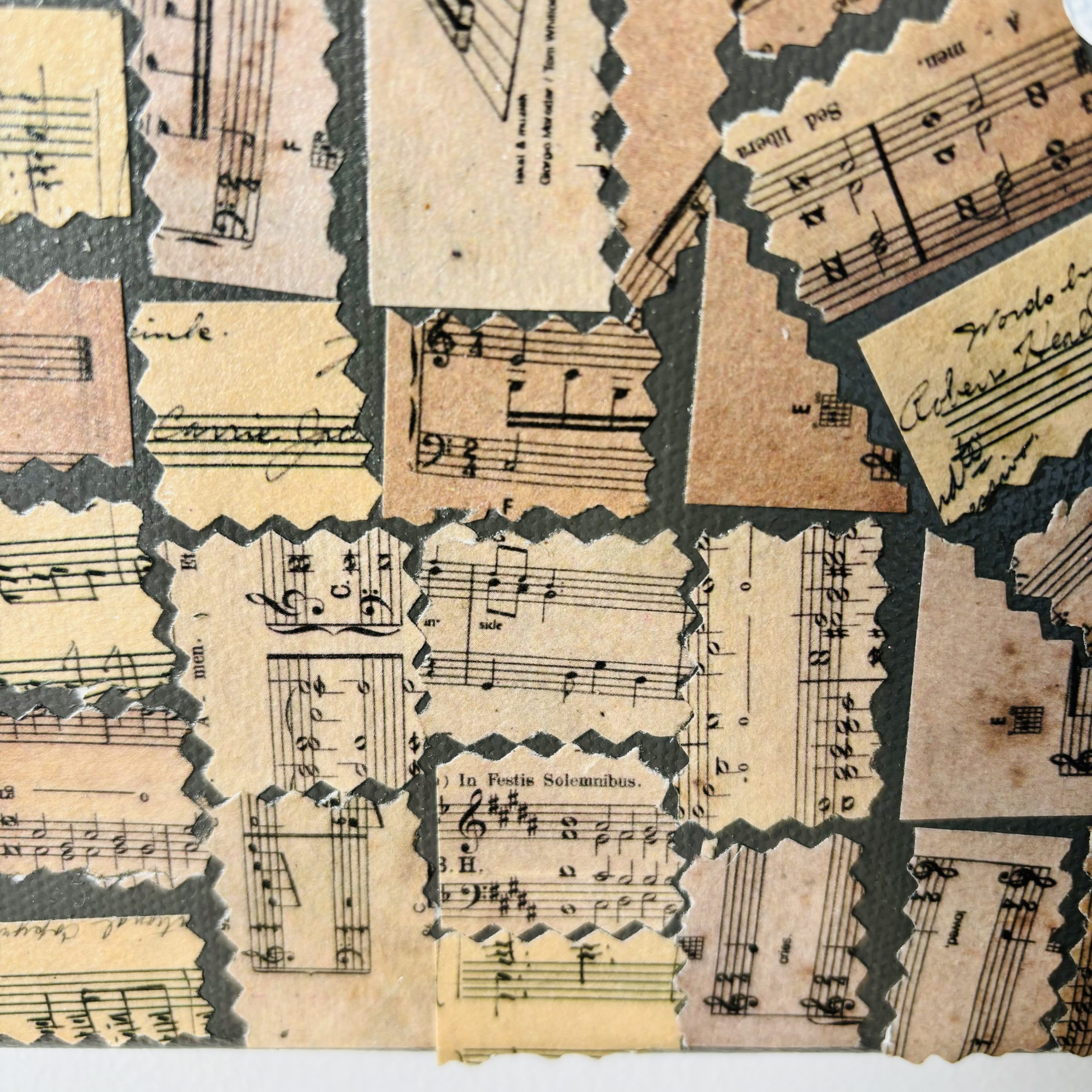 Kim Magee Art Bird Song Of India 3