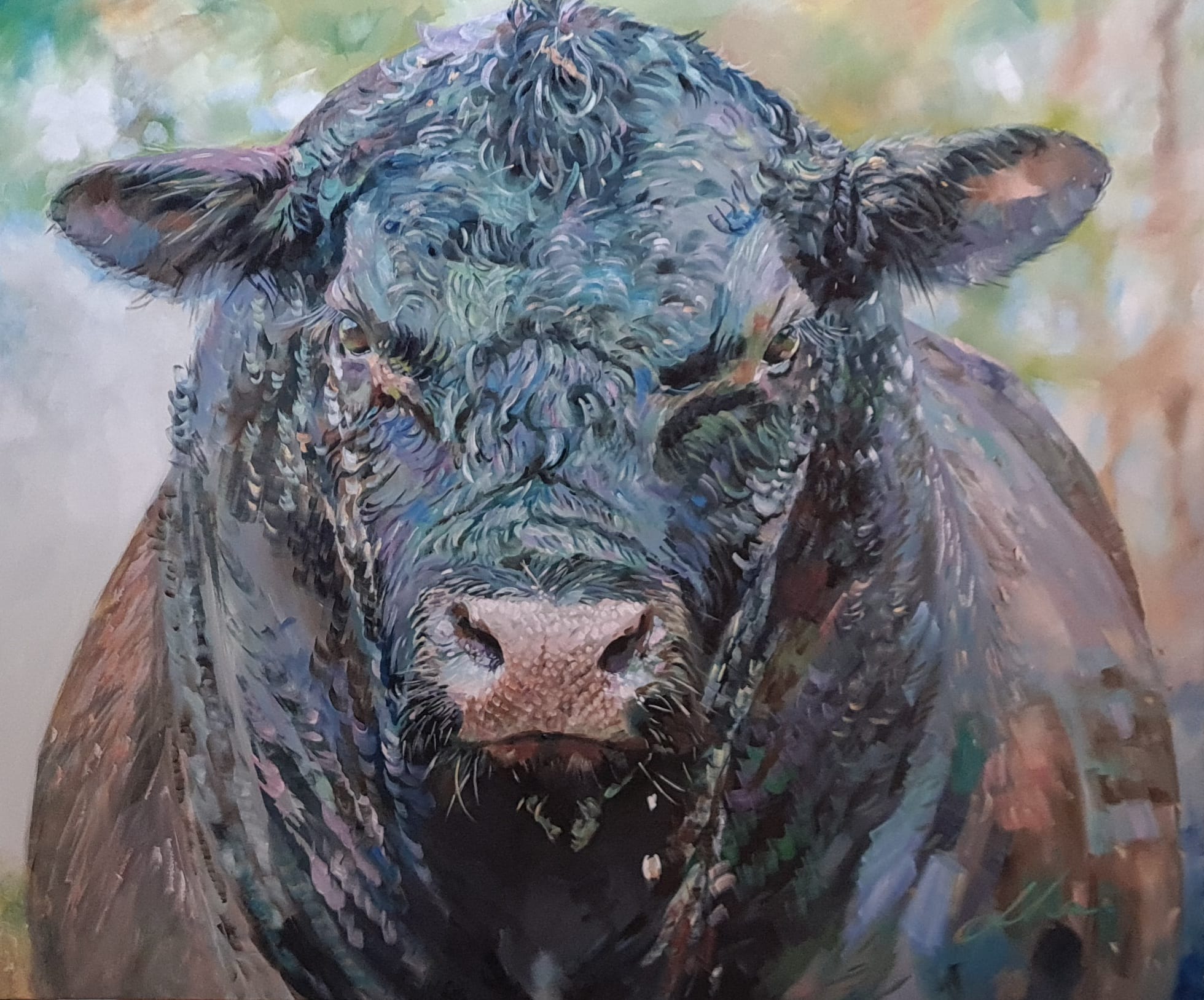 Not Through Me Black Bull Jo S. Stacey Fine Art Oils