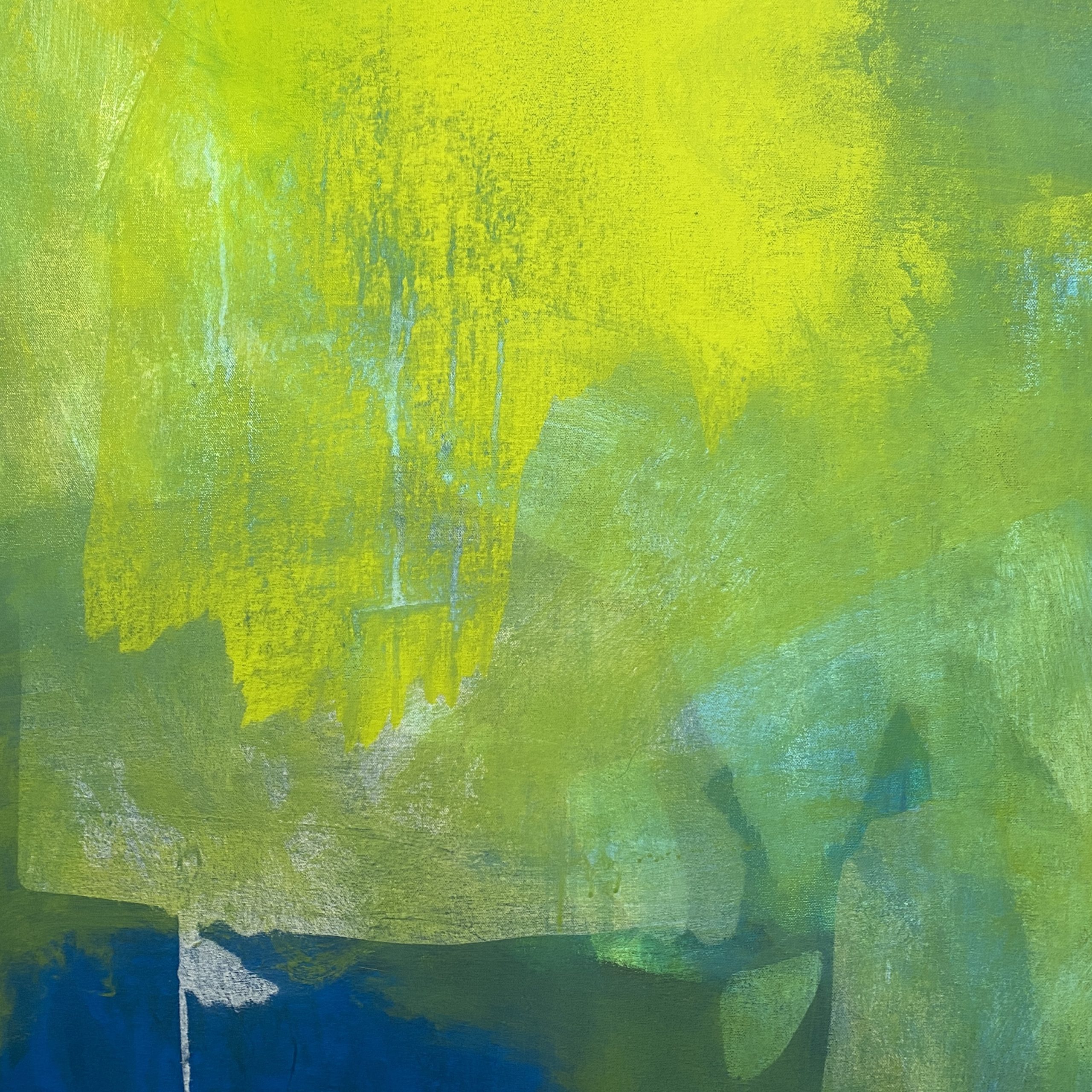 Cape Tribulation Cheryl Harrison A