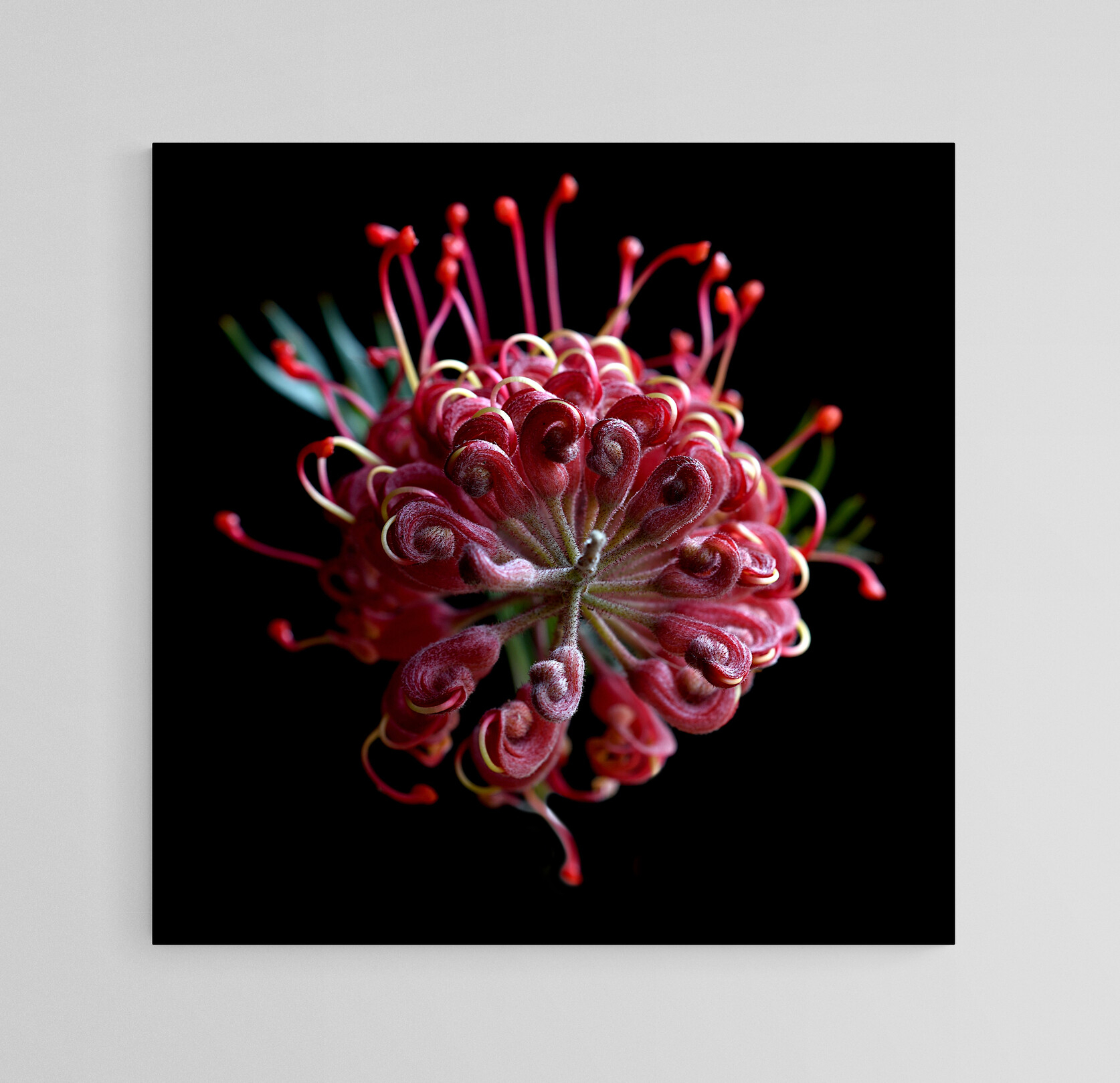 Empty Room 2024 06 21t134016.153