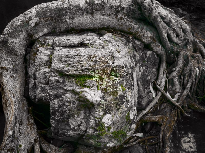 A Face in the Crowd v2 – Ltd Ed Photography