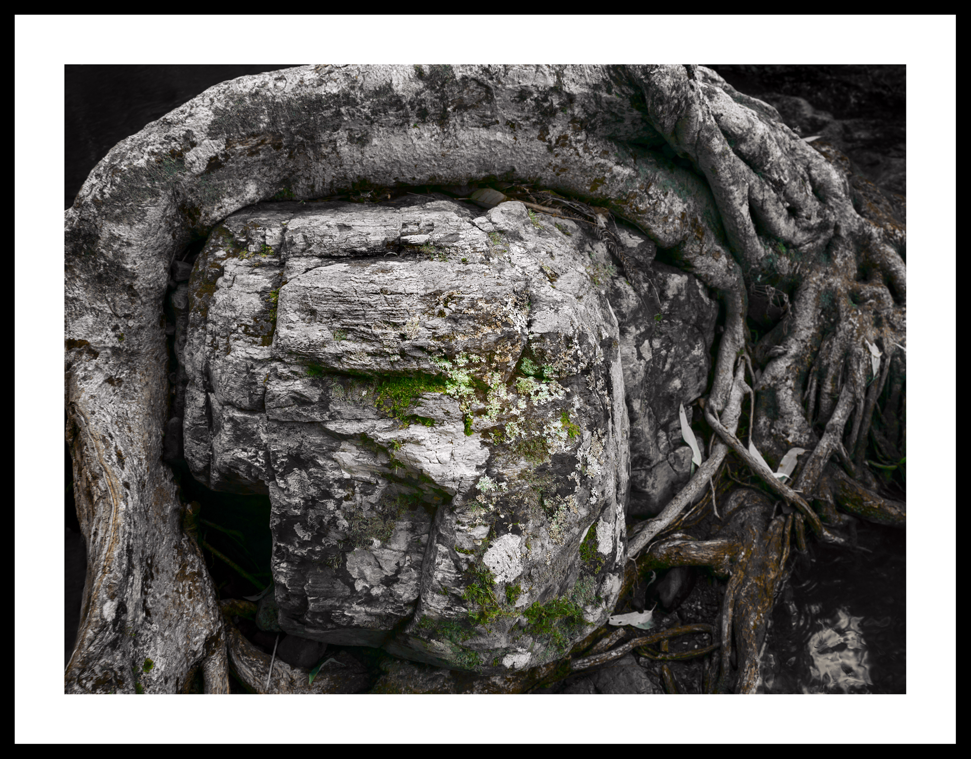 A Face In The Crowd V2 Framed