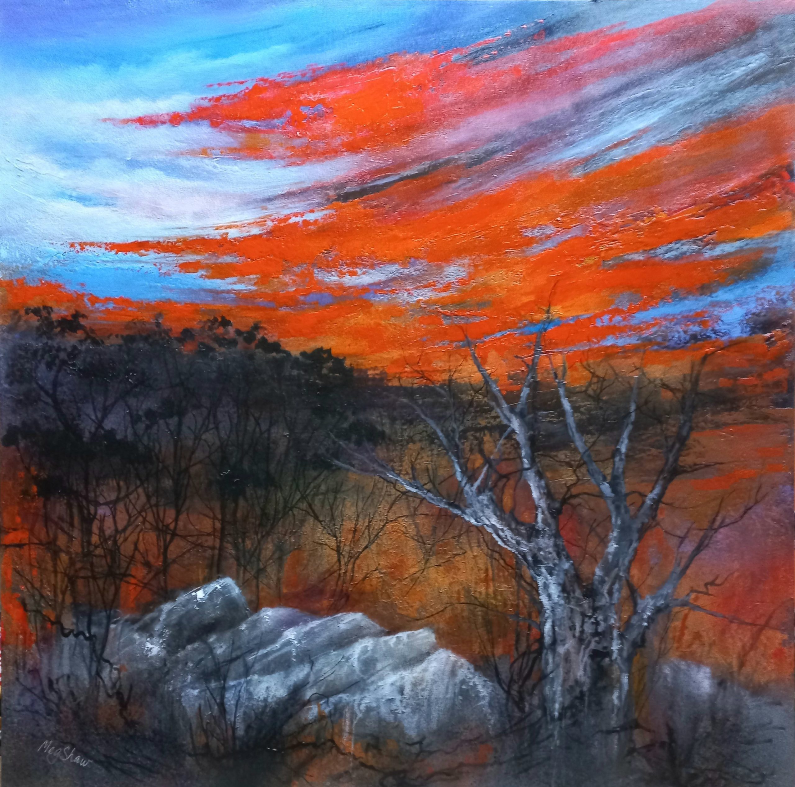 Tapscanner 28 06 2024 09꞉54 20240628 095437 599 61