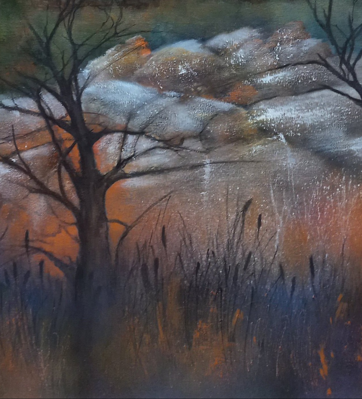 Tapscanner 18 08 2024 13꞉43 20240818 134350 029 61