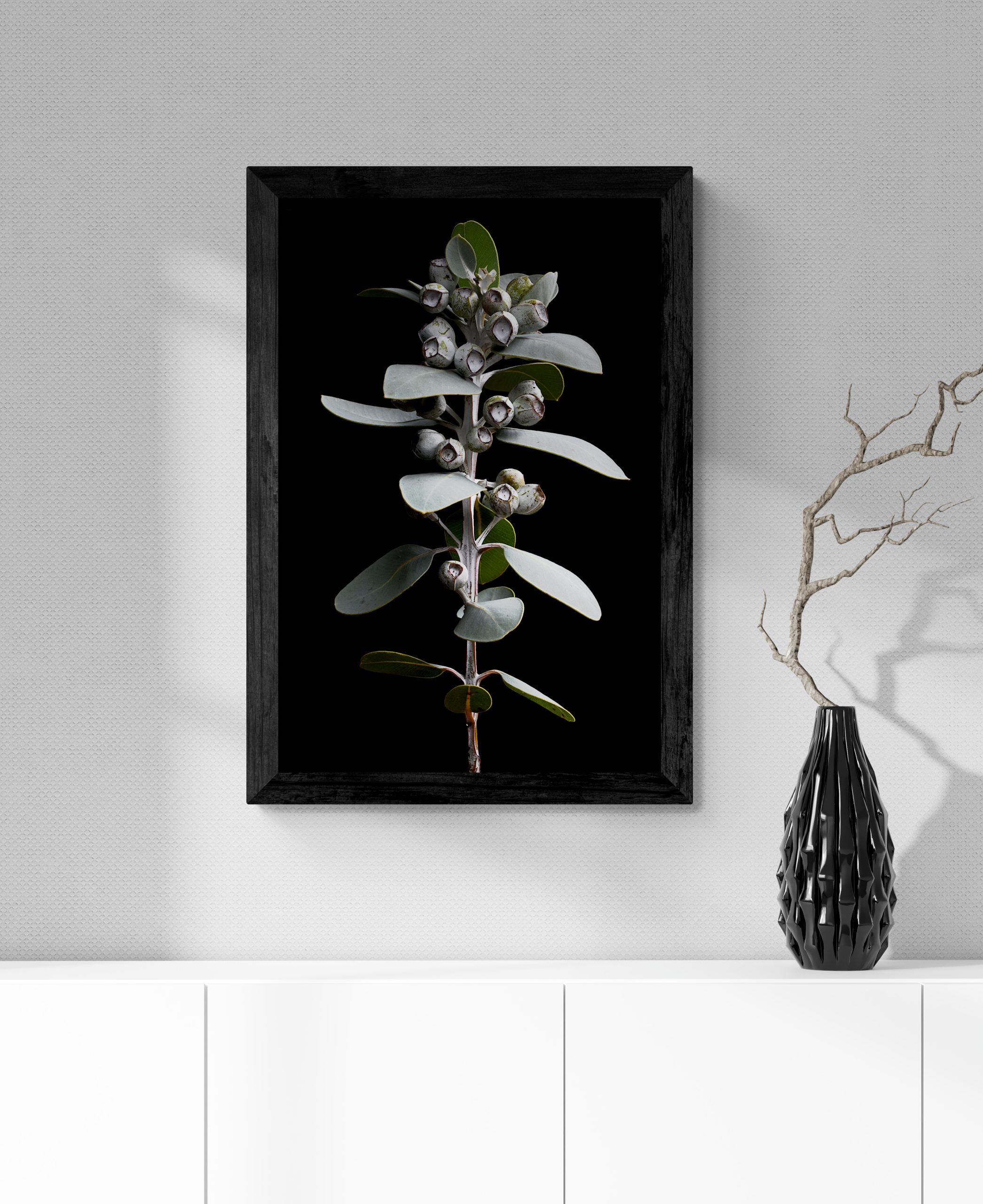 Ornaments Sitting On White Cabinet (13)