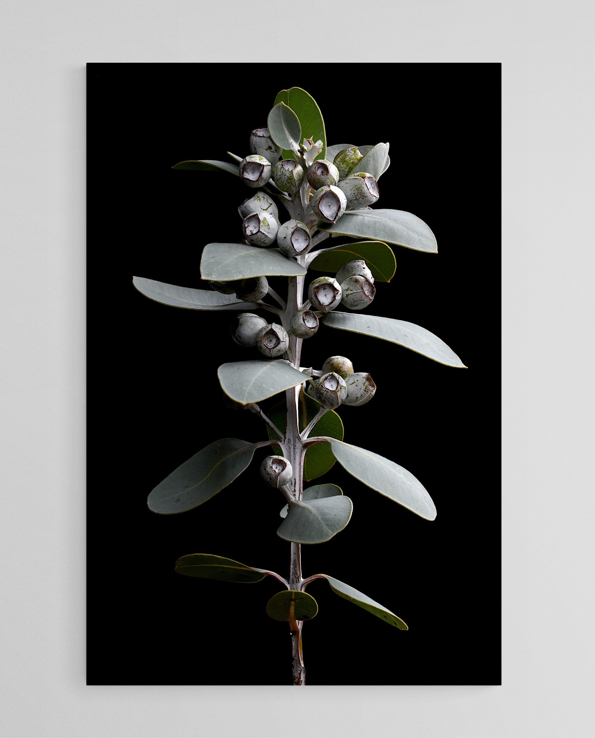 Empty Room 2024 07 25t150759.737