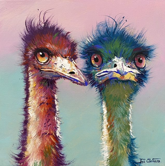 Pair of Emu’s #3