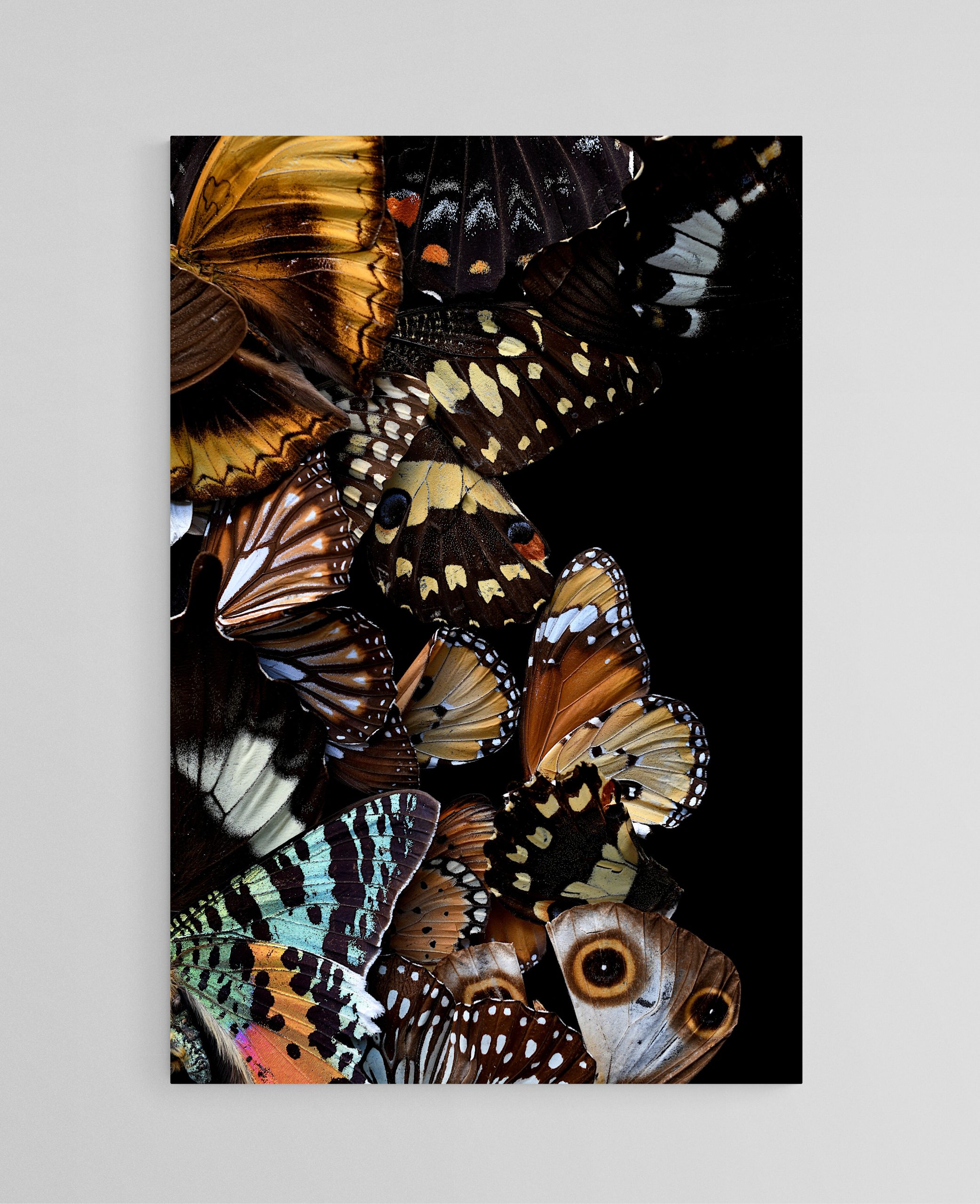 Empty Room 2024 08 23t154551.535