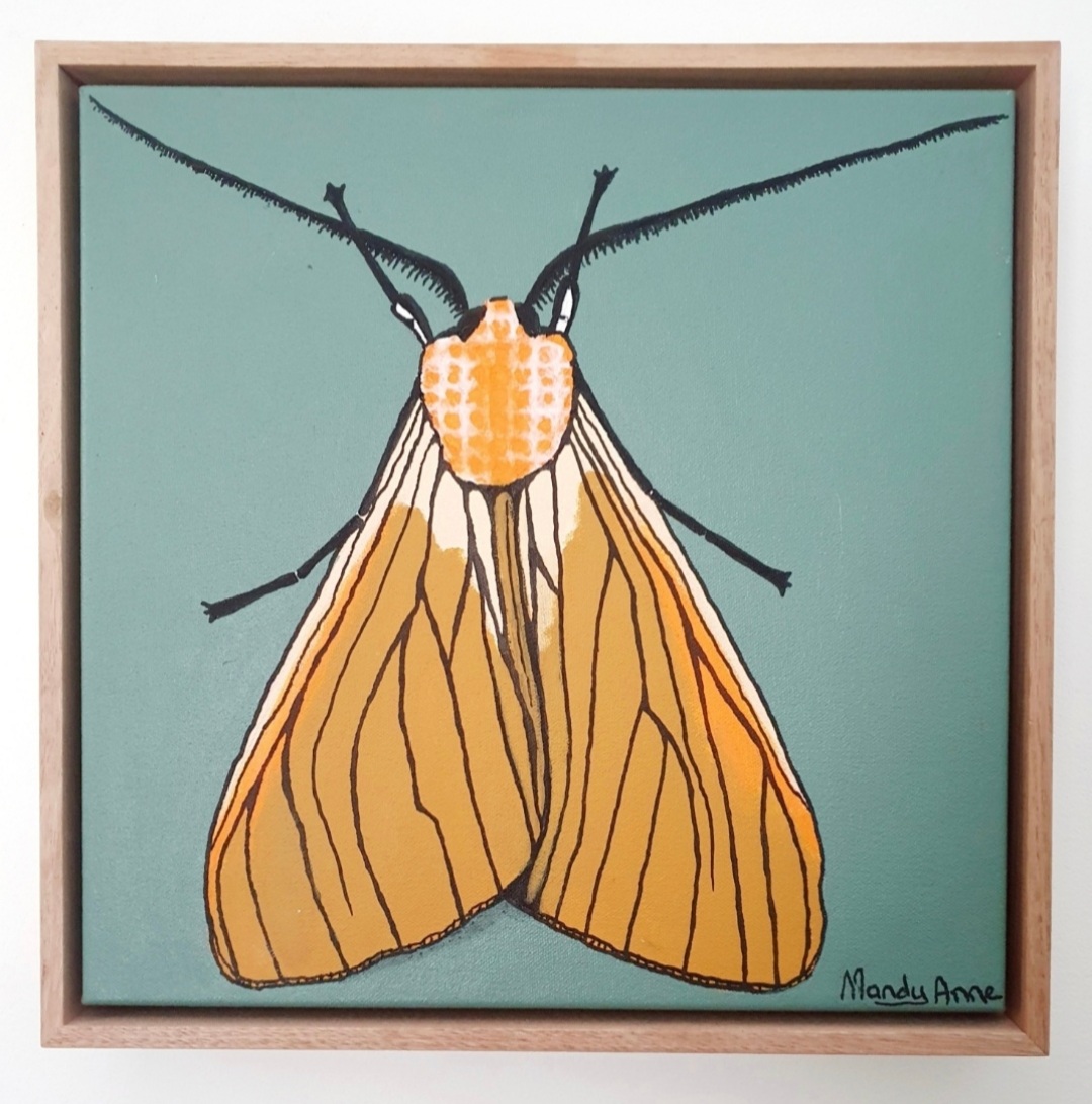 Screenshot 20240823 183455 Gallery