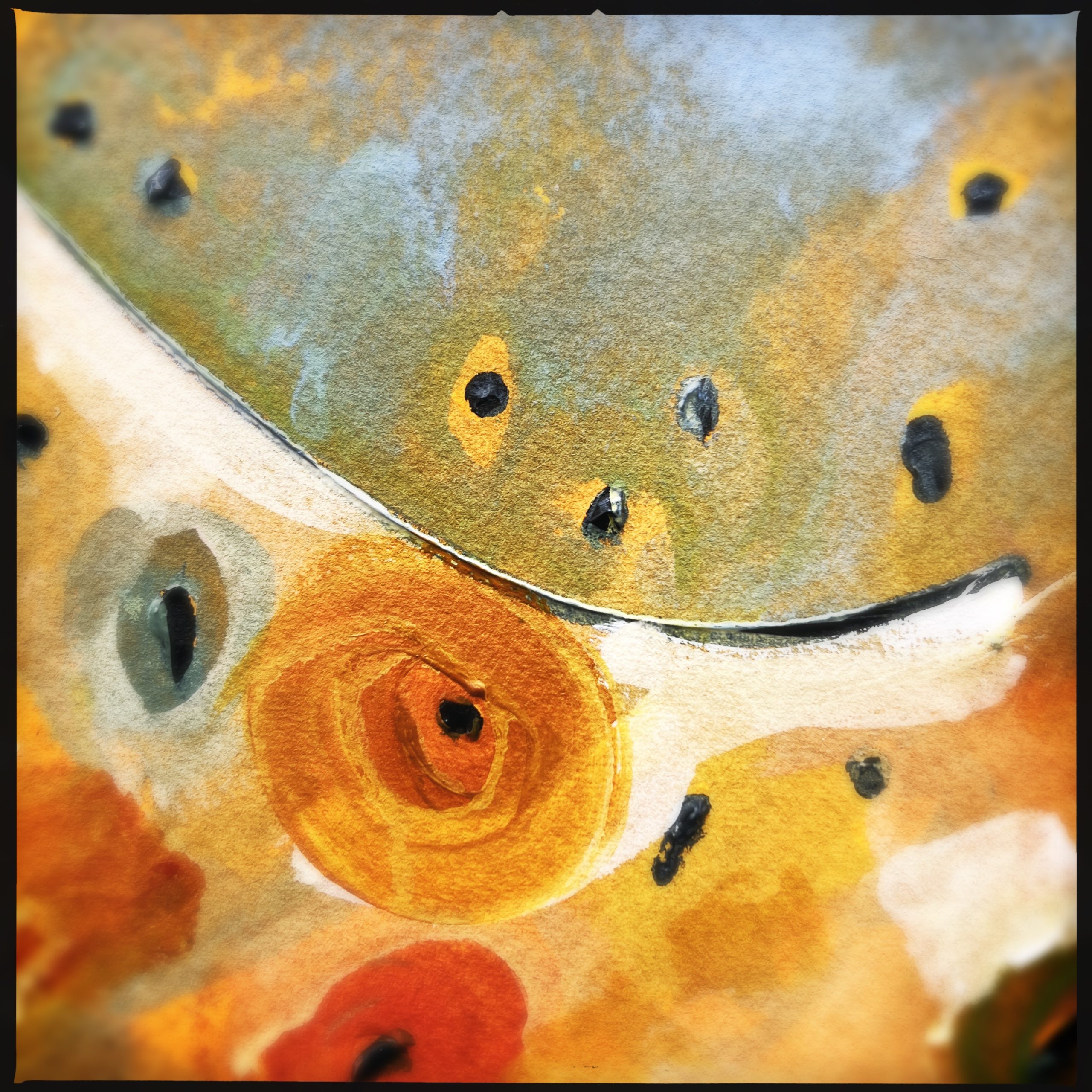 Hipstamaticphoto 742450882.134014