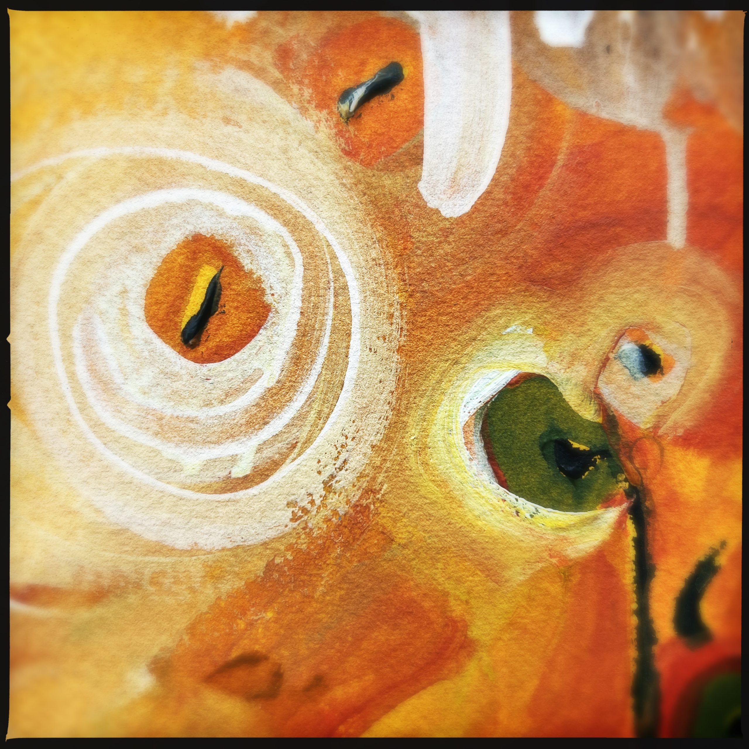 Hipstamaticphoto 742450941.539592