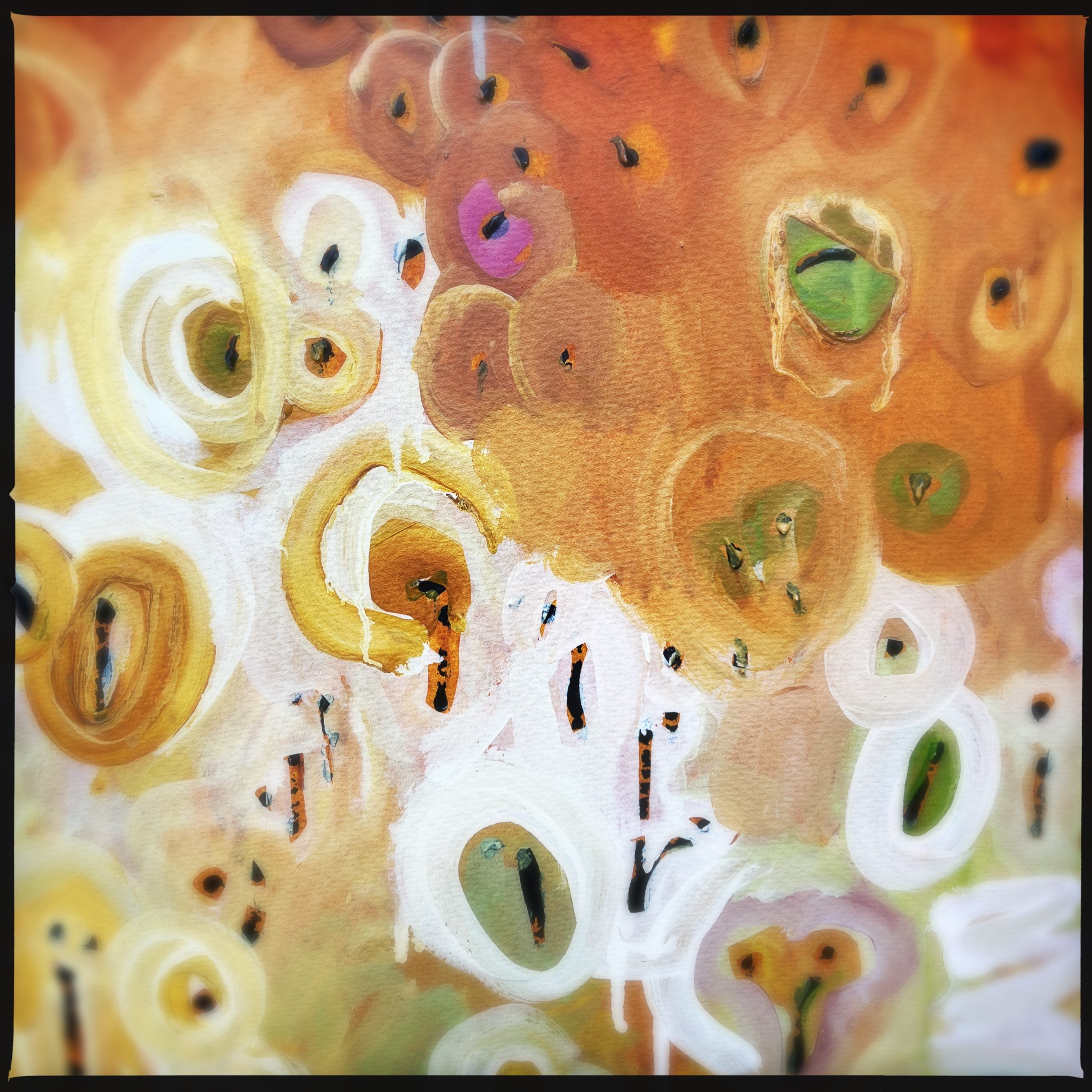 Hipstamaticphoto 742433970.738550