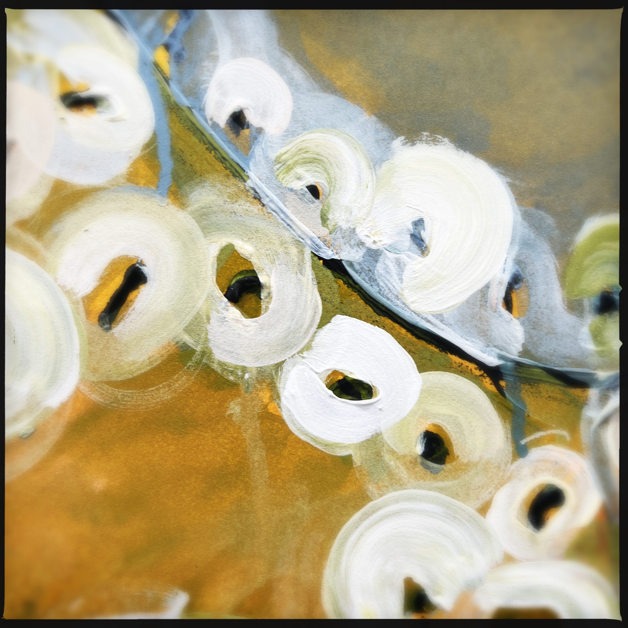 Hipstamaticphoto 742890383.511403