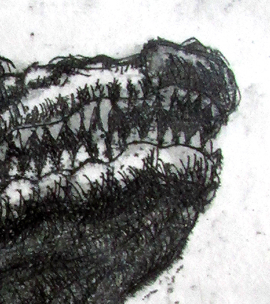 Salt Water Crocodile 3