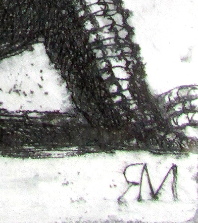 Salt Water Crocodile 2