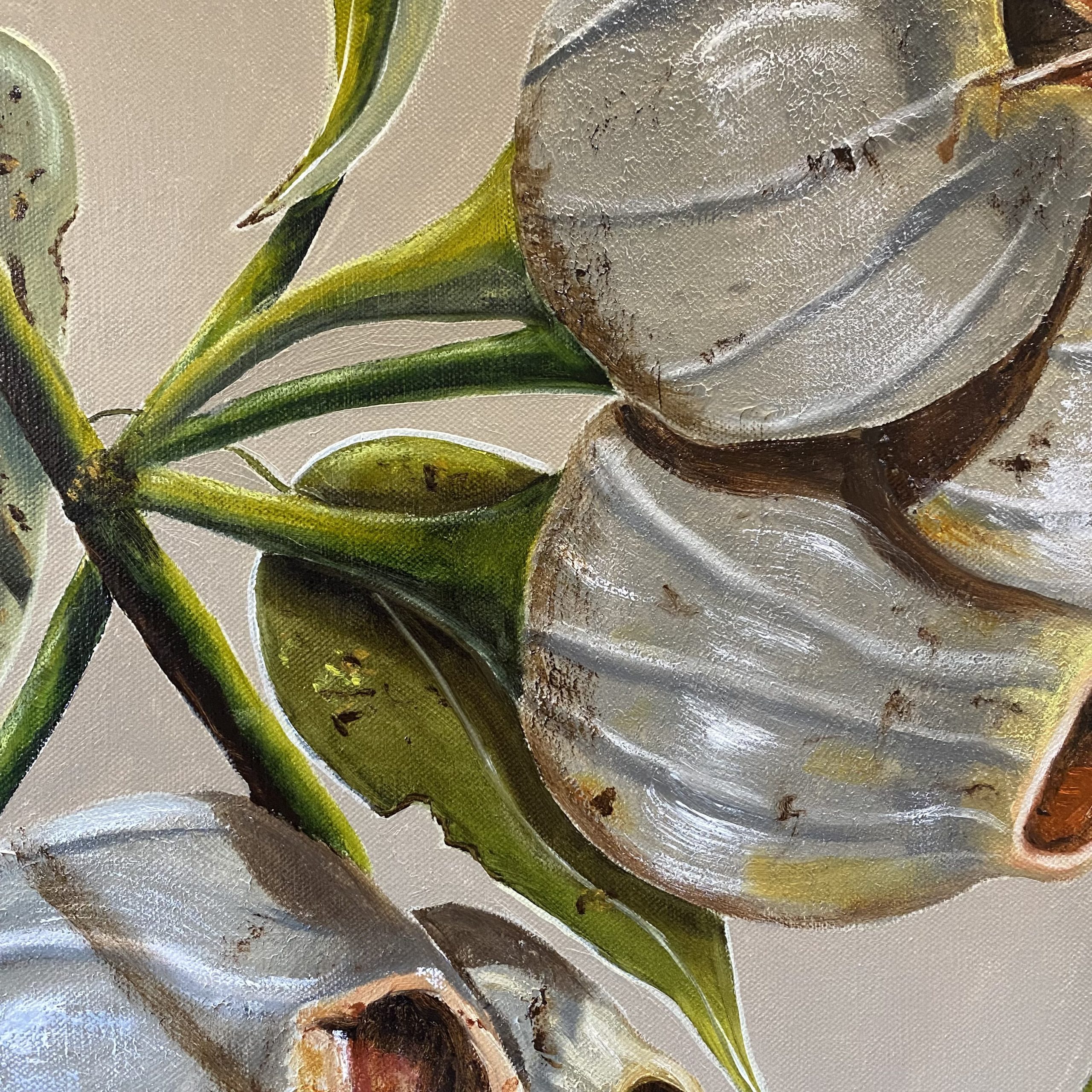 Gum Nut Symphony Closeup2 Wendy Peters