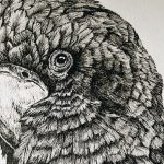 User 26 Sharon 2024 08 29 T 07 24 36 999 Z Banner.jpg