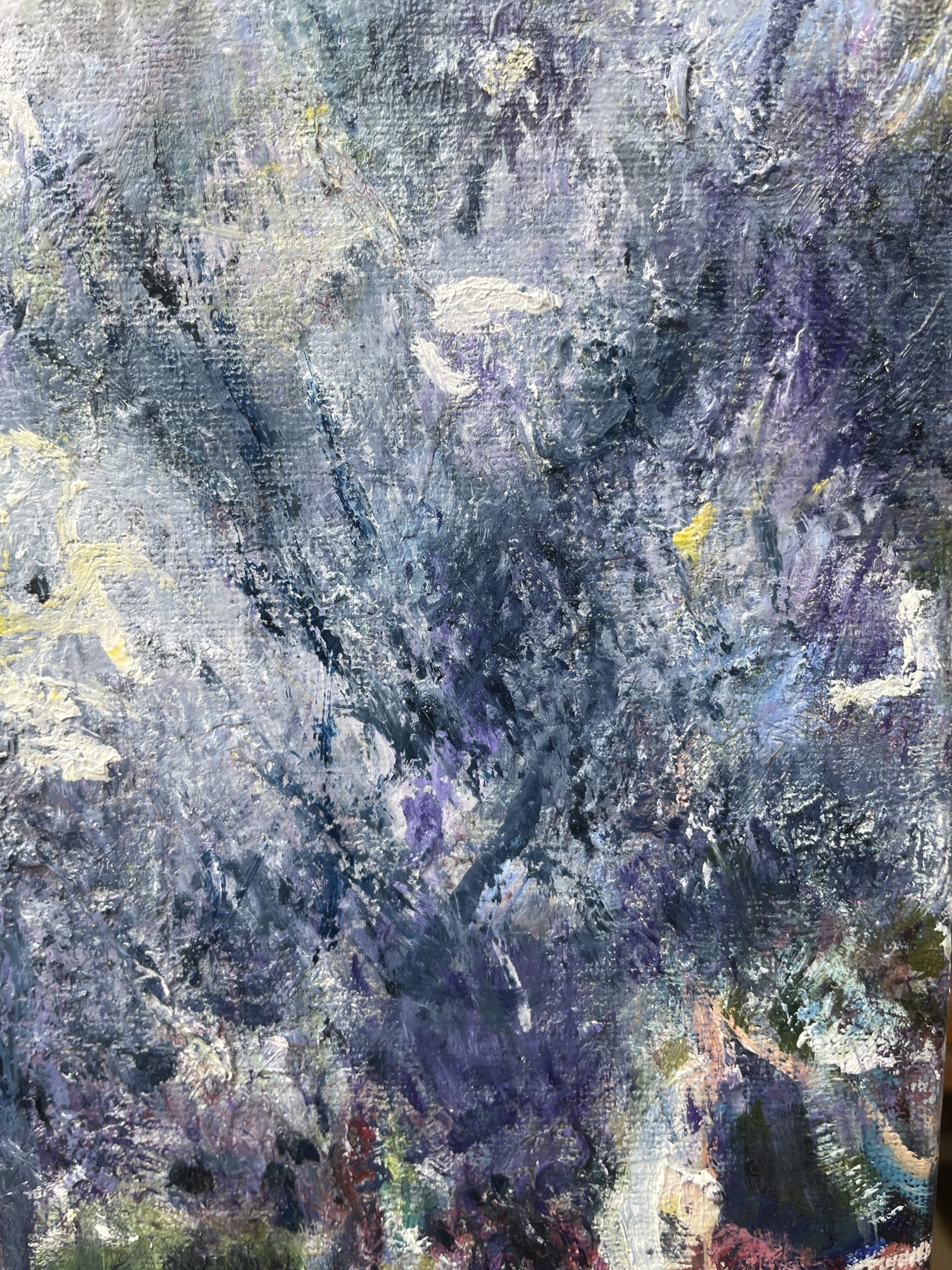 Samphire In The Saltmarsh 2 Close Up 1