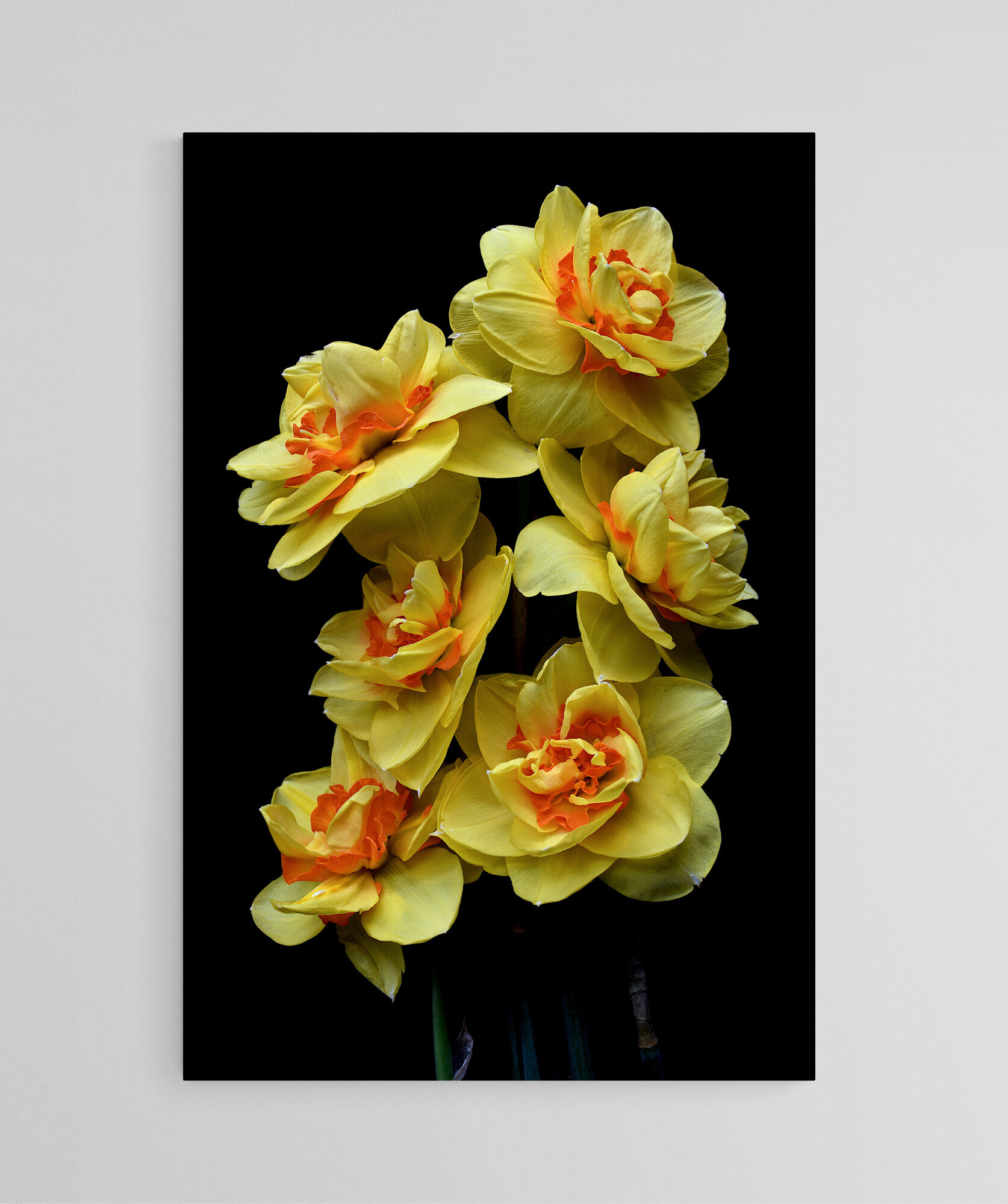 Empty Room 2024 09 01t122318.164