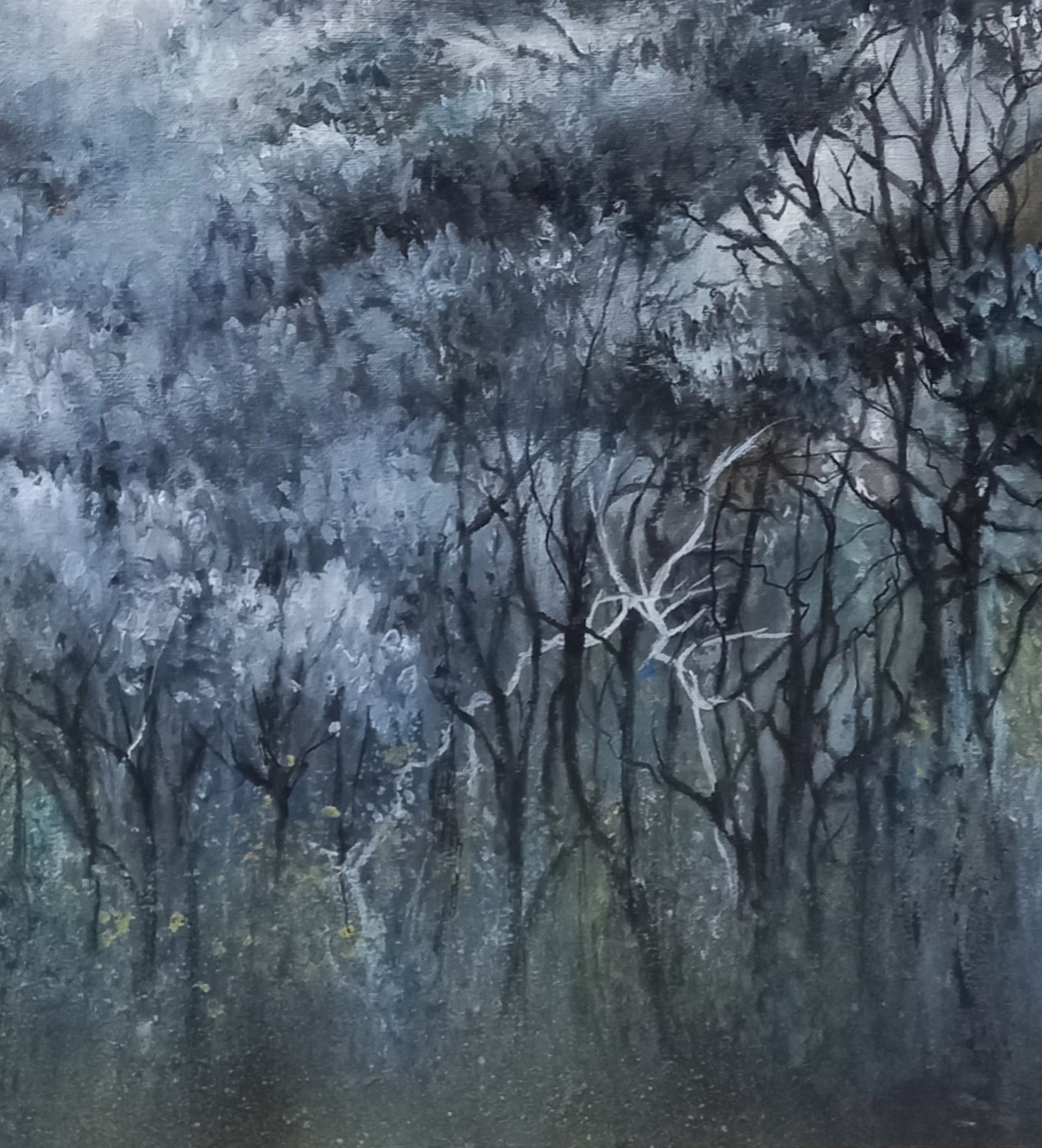 Tapscanner 19 08 2024 12꞉18 20240819 184132 757 32