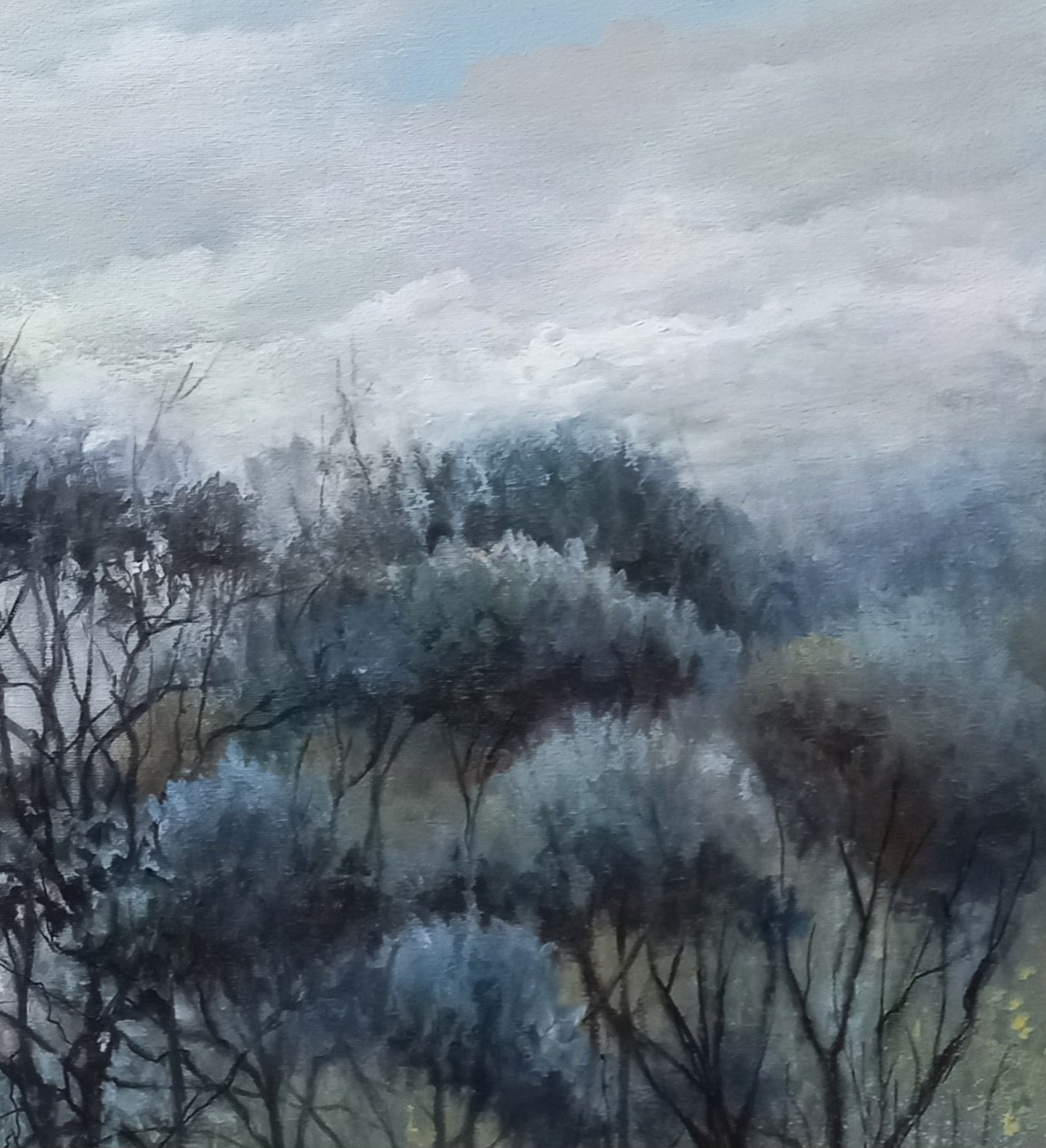 Tapscanner 19 08 2024 12꞉18 20240819 184137 724 57