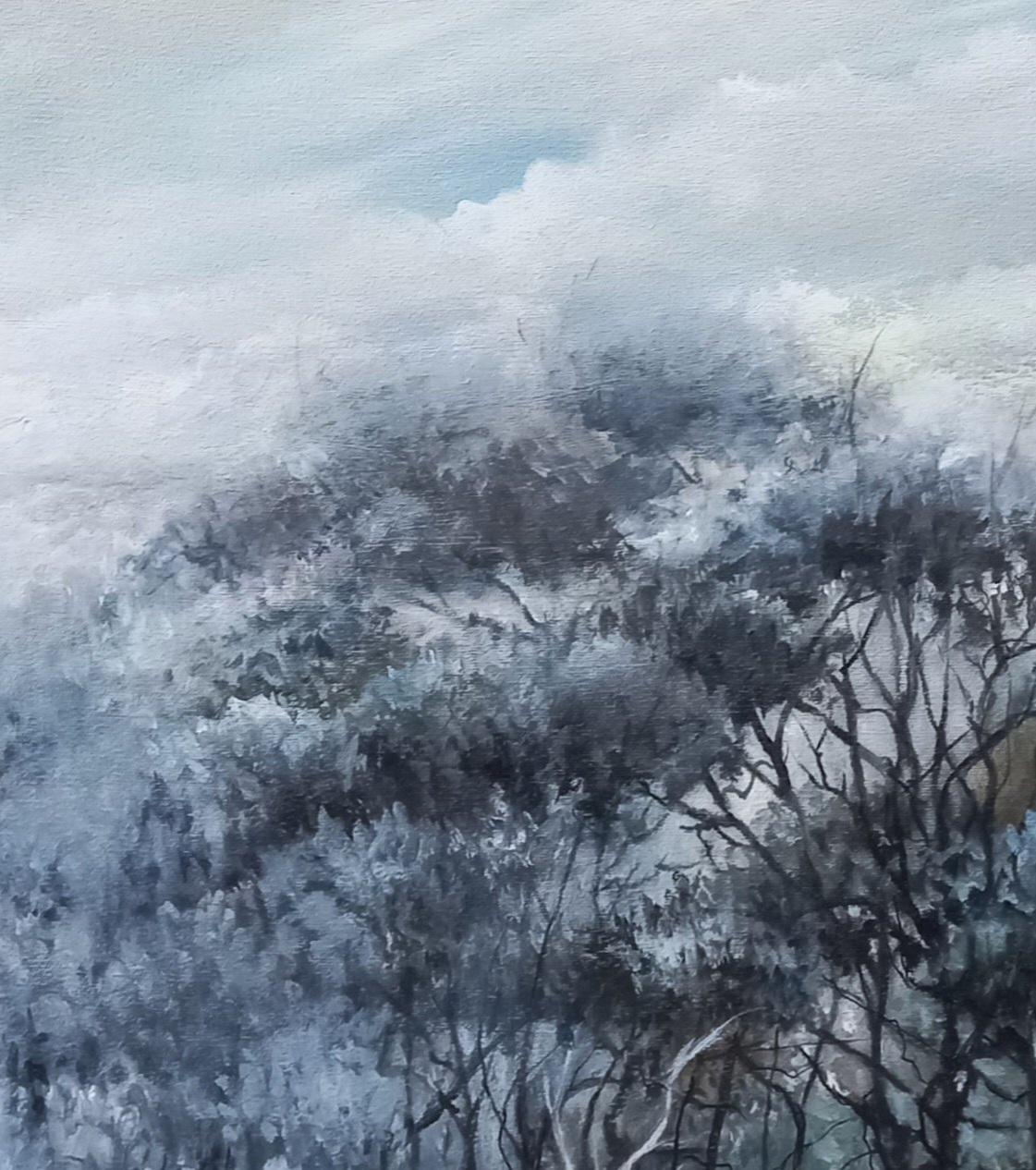 Tapscanner 19 08 2024 12꞉18 20240819 184139 723 24