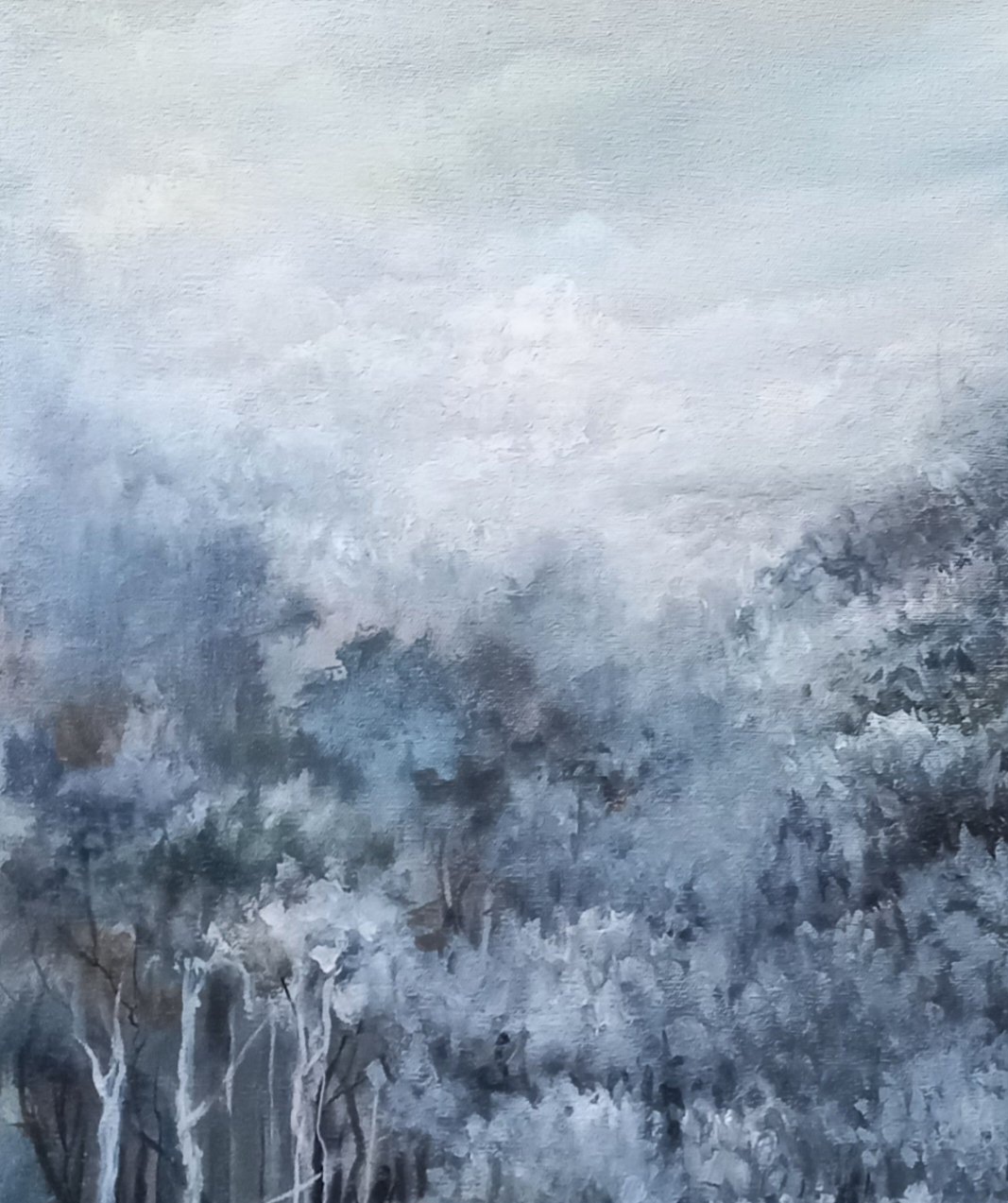 Tapscanner 19 08 2024 12꞉18 20240819 184141 881 5