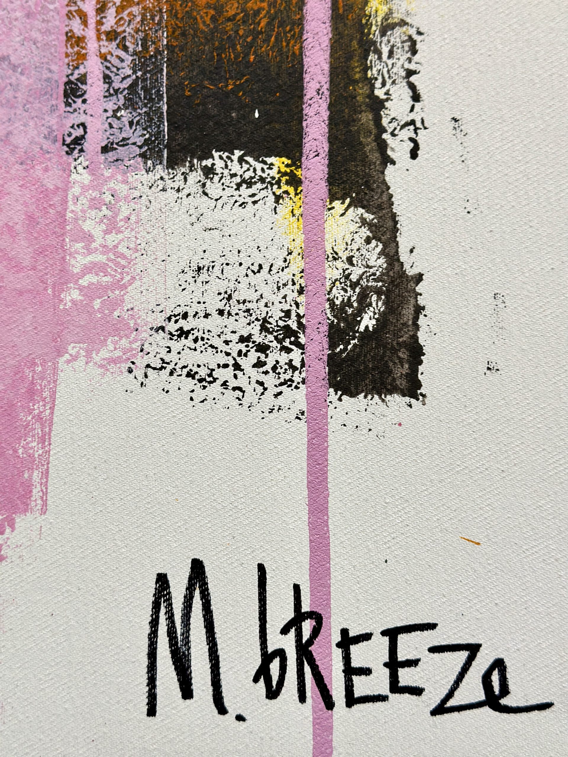 Martin Breeze Duplicity Signed