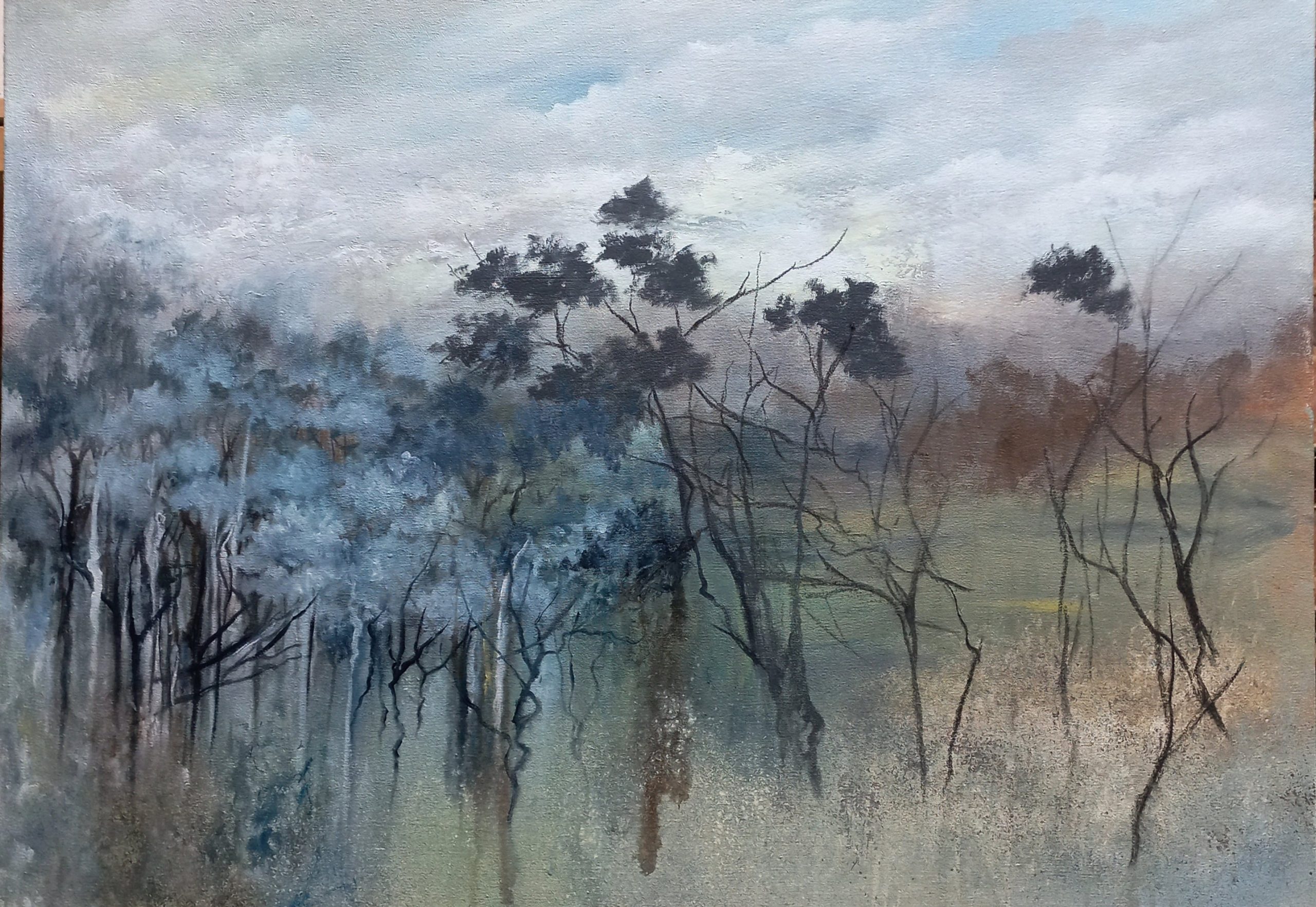 Tapscanner 05 09 2024 14꞉43 20240905 144356 933 60