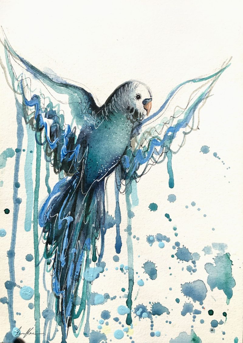 Blue Budgie Spirit
