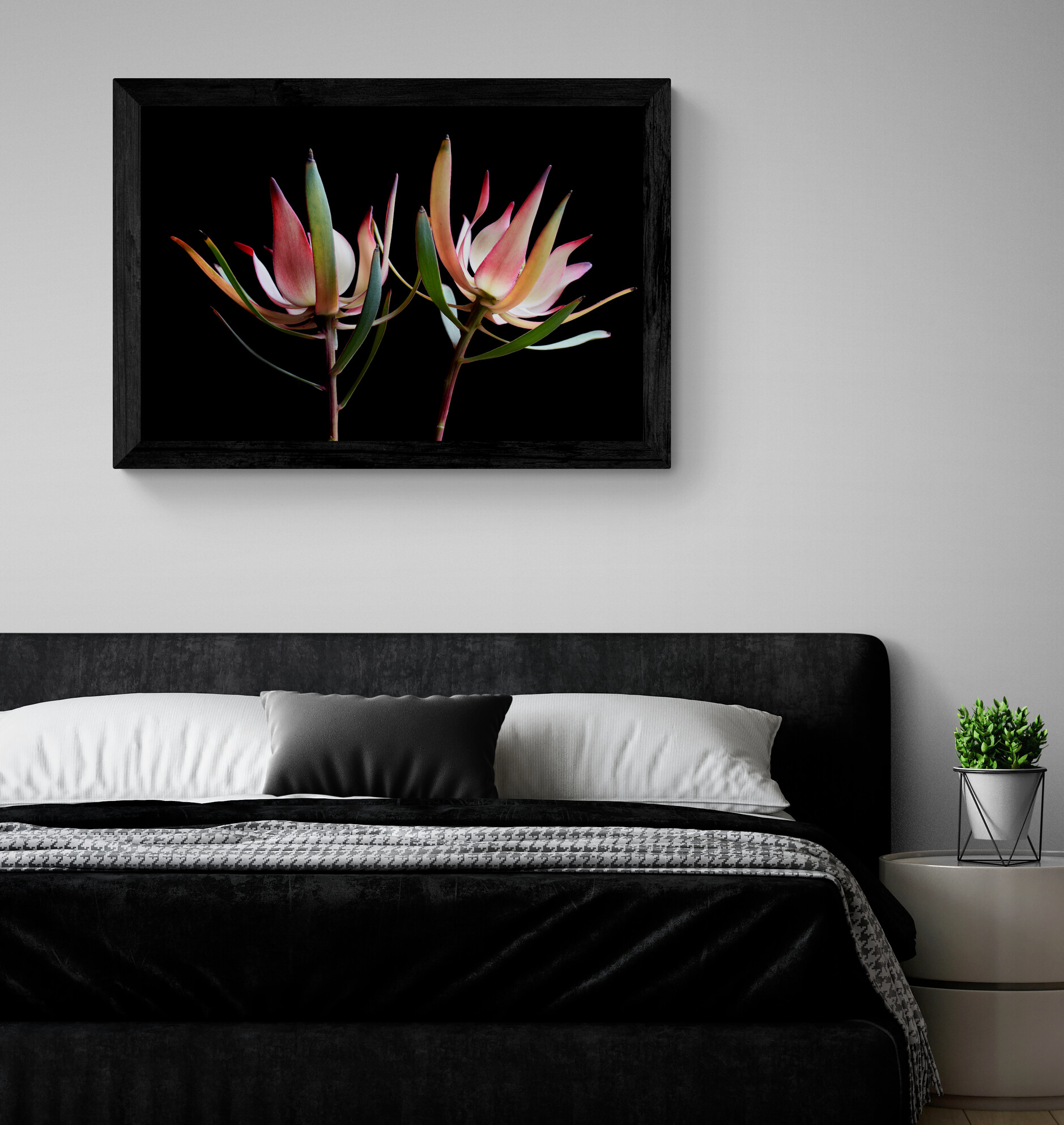 Comfy Minimalist Bedroom With Pot Plant (2)