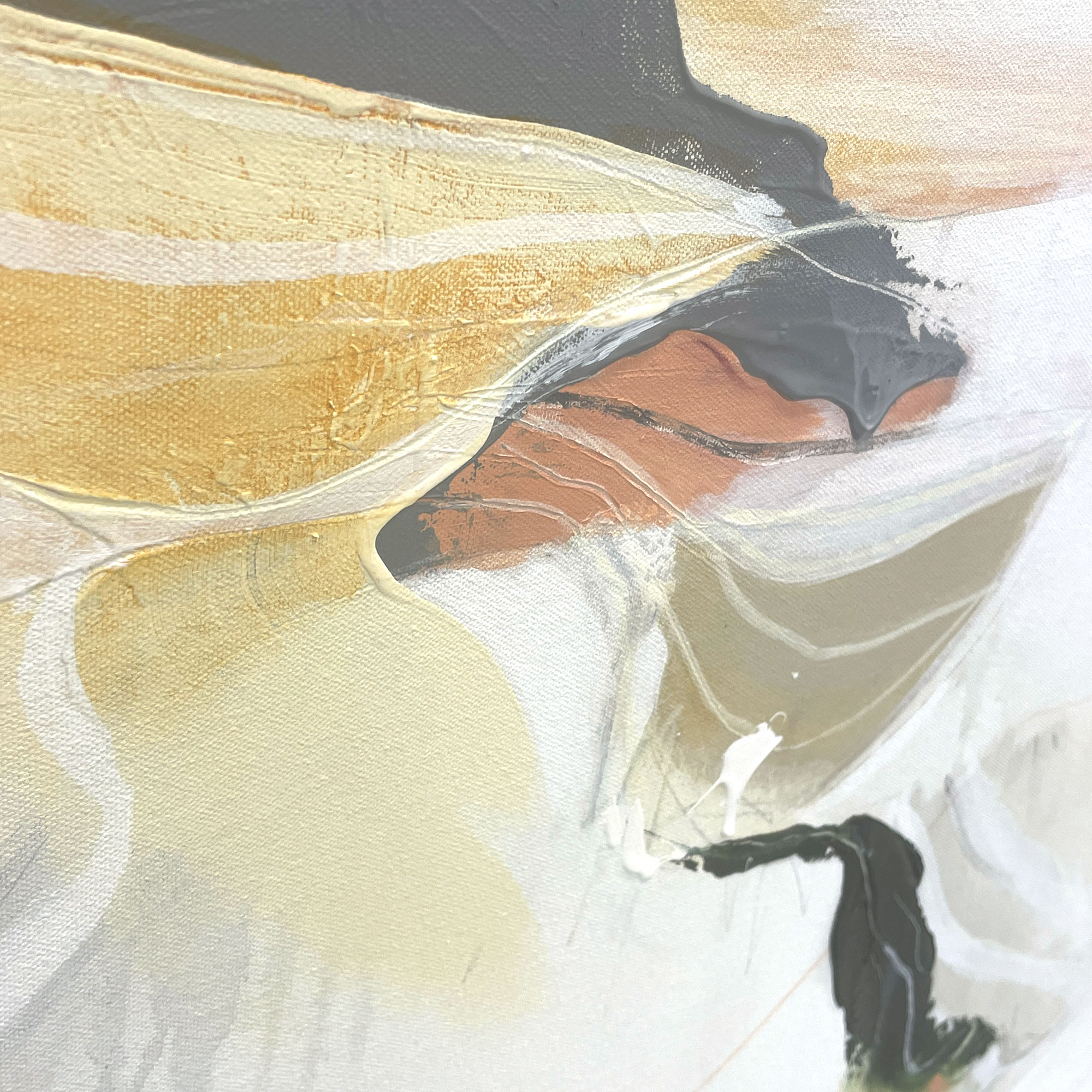 Sand Tracks Cheryl Harrison A