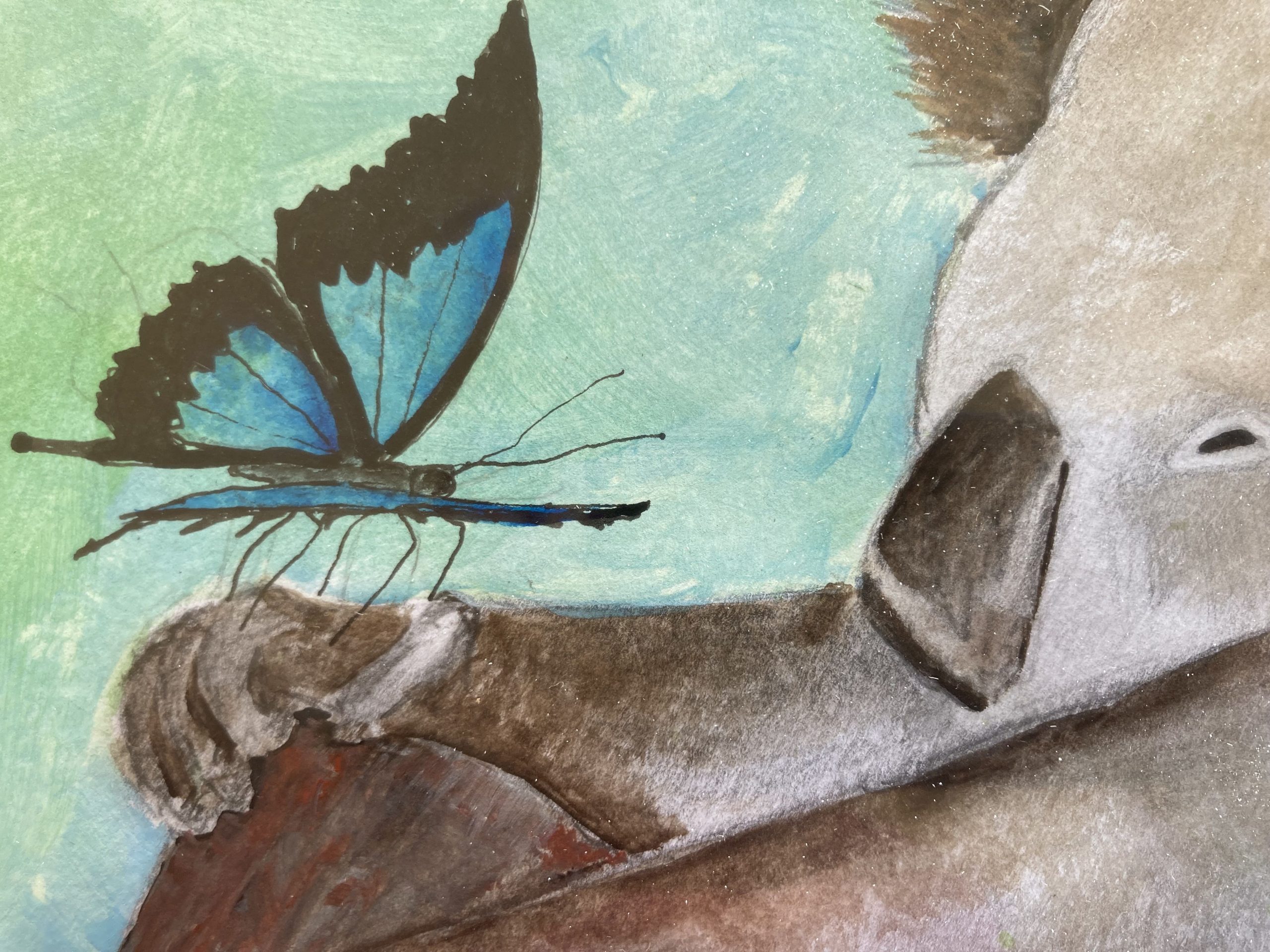 Mbj 25 Lazy Koala Detail