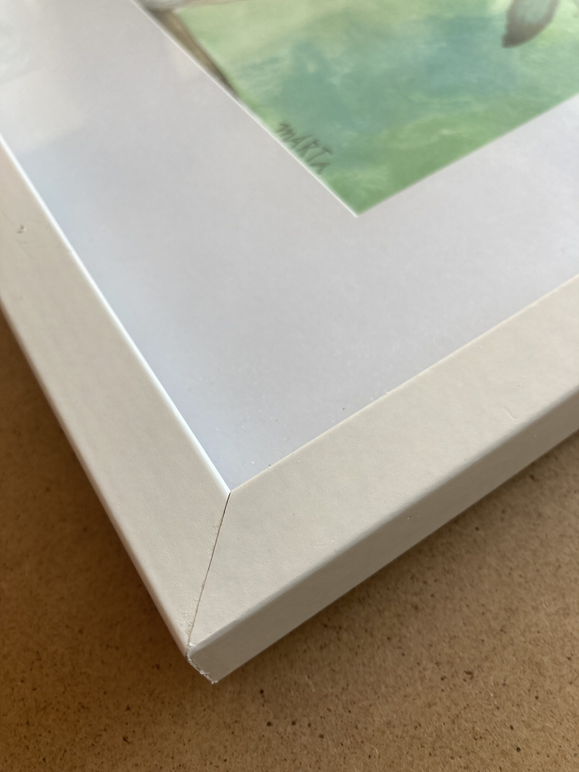 Mbj 25 Lazy Koala Edge