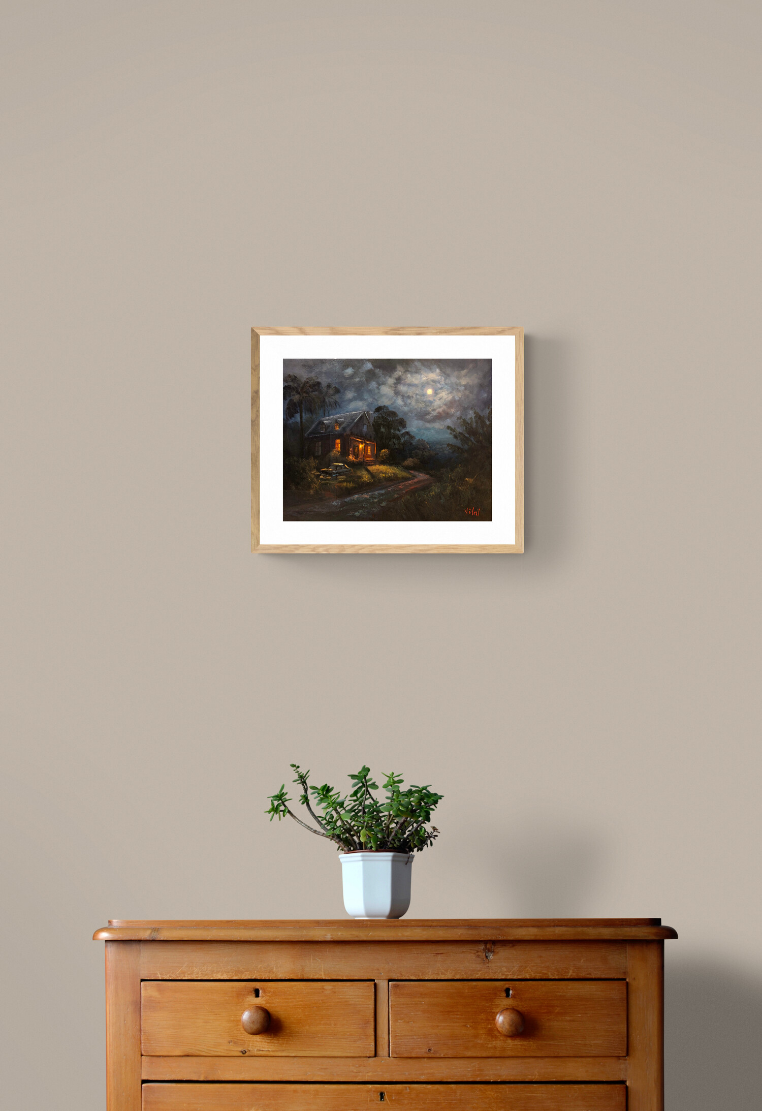 Plant On Wooden Drawers